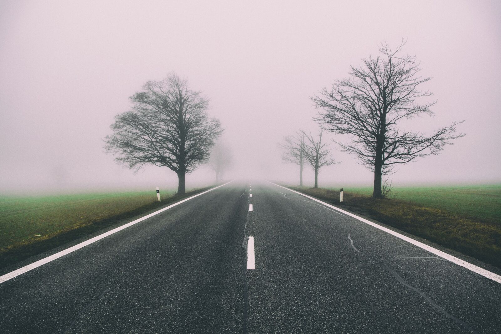 Nikon D3300 sample photo. Fog, weather, sky photography