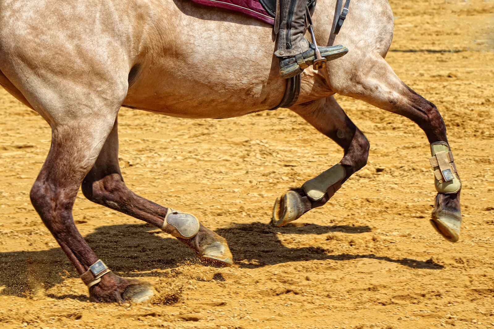 Canon EF-S 17-85mm F4-5.6 IS USM sample photo. Cavalry, contest, action photography