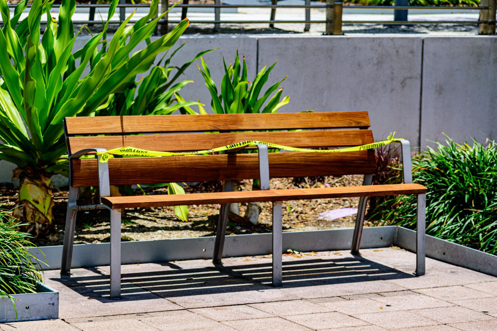 Nikon D3500 sample photo. Socializing, bench, distance photography