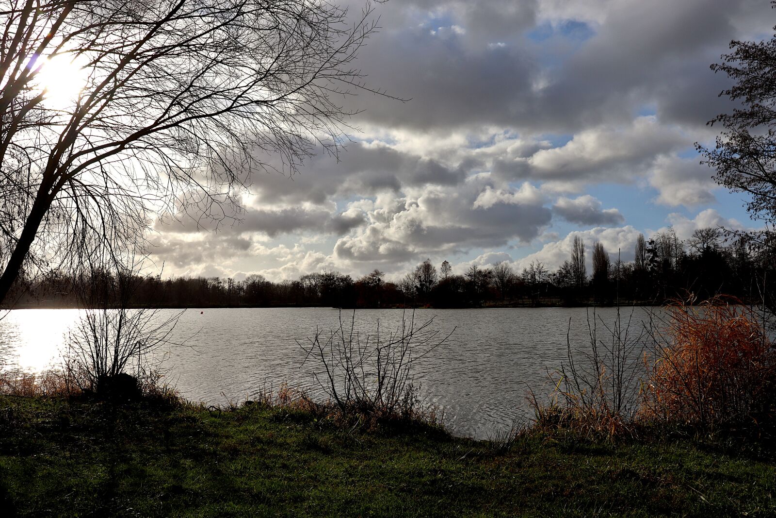 Canon EOS 800D (EOS Rebel T7i / EOS Kiss X9i) sample photo. Winter landscape, lake, trees photography