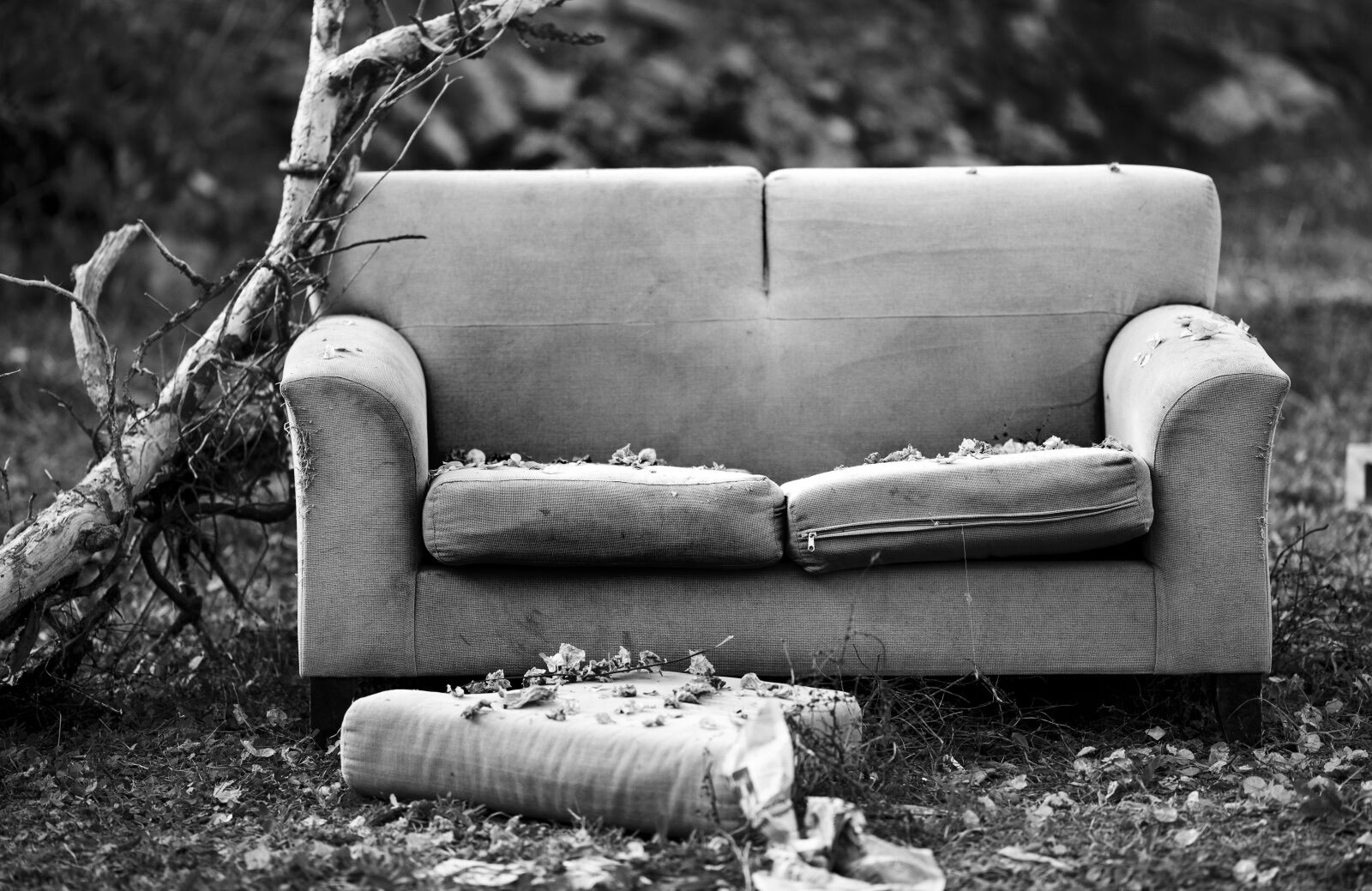Sony Alpha DSLR-A850 sample photo. Down, couch, only photography