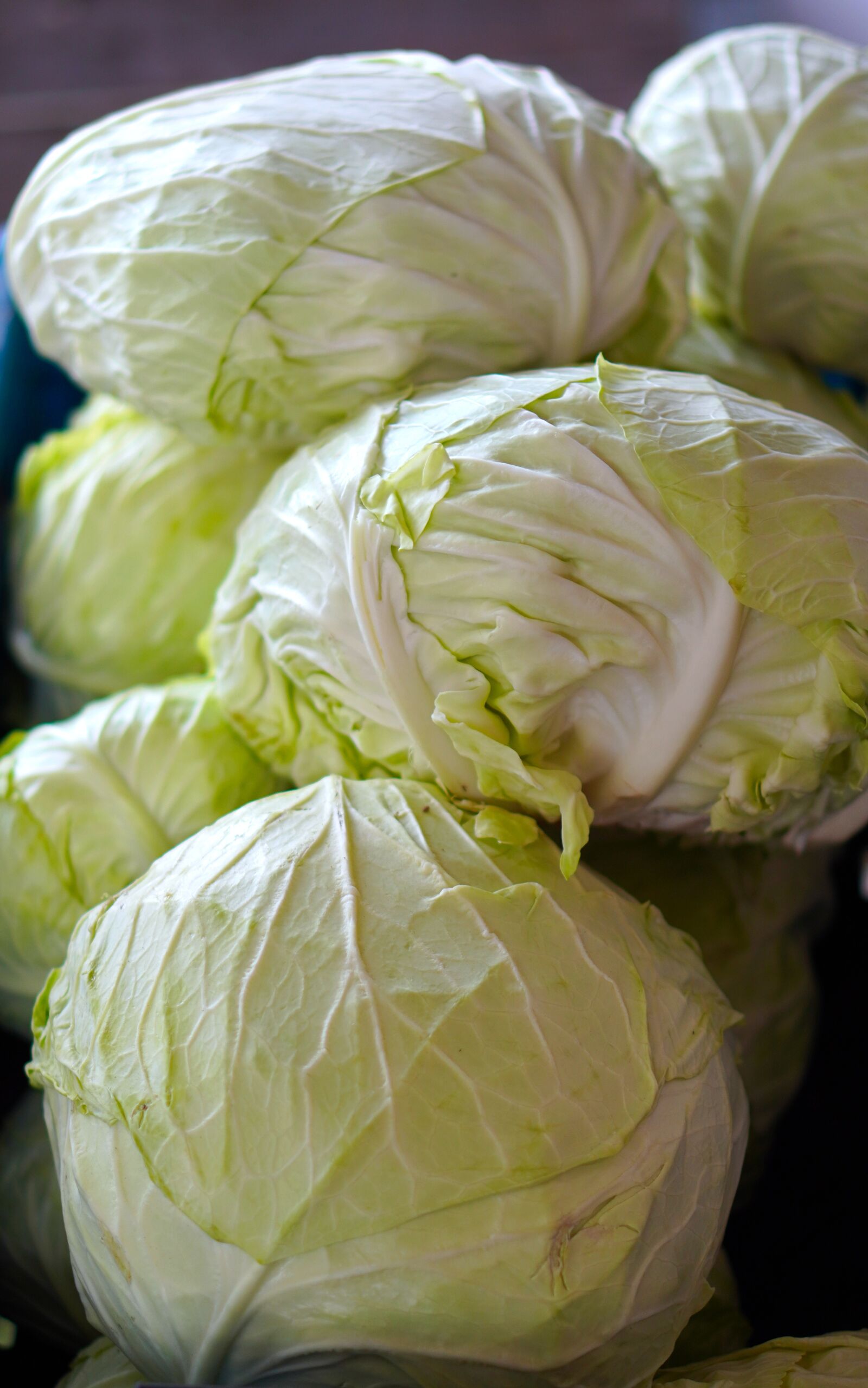 E 50mm F1.8 OSS sample photo. "Vegetable, cabbages, food" photography
