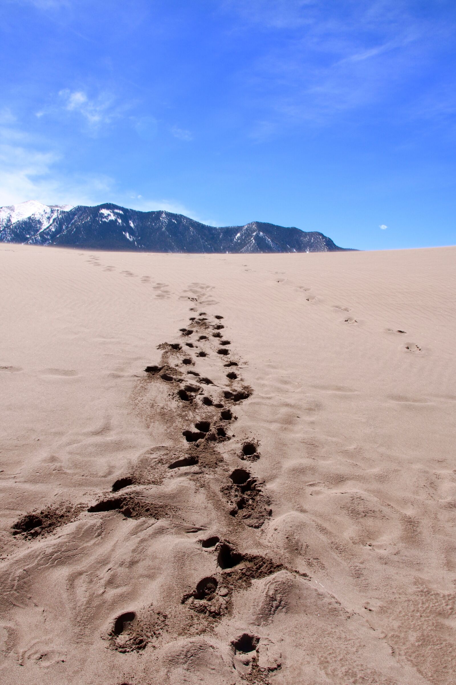 Canon EOS 760D (EOS Rebel T6s / EOS 8000D) sample photo. Usa, great sand dunes photography