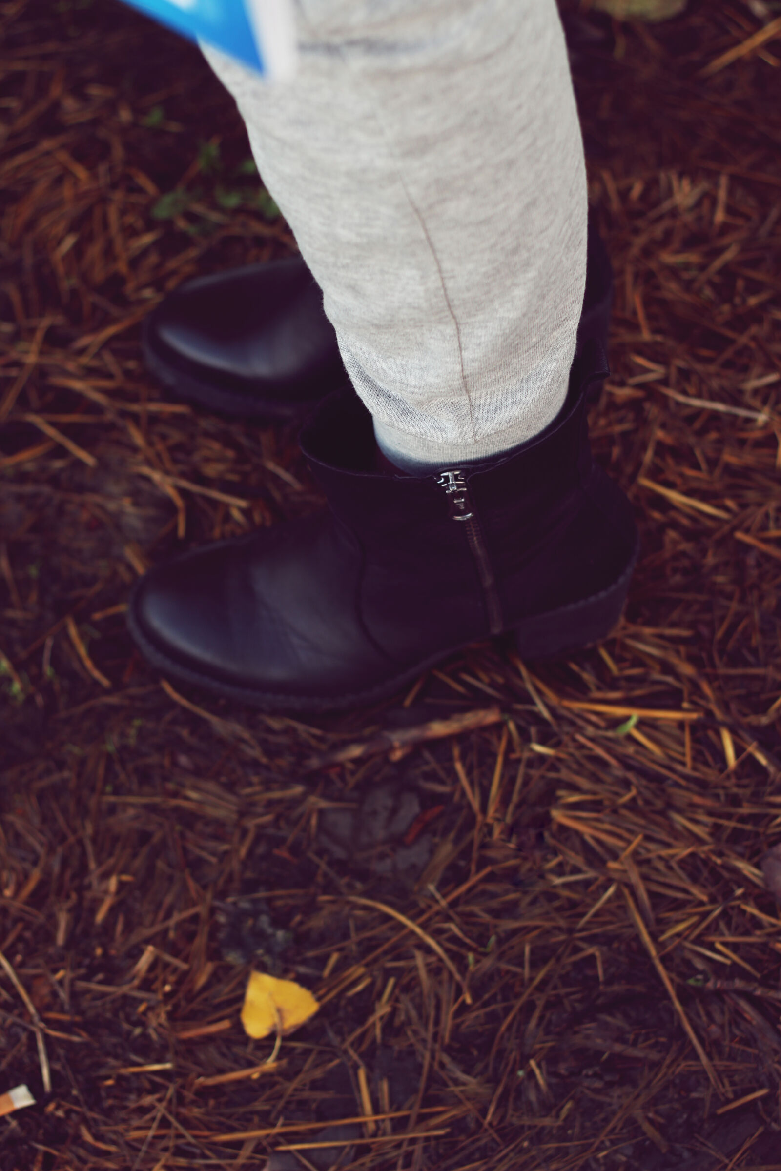Canon EOS 600D (Rebel EOS T3i / EOS Kiss X5) + Canon EF 50mm F1.8 II sample photo. Autumn, shoes, ii photography
