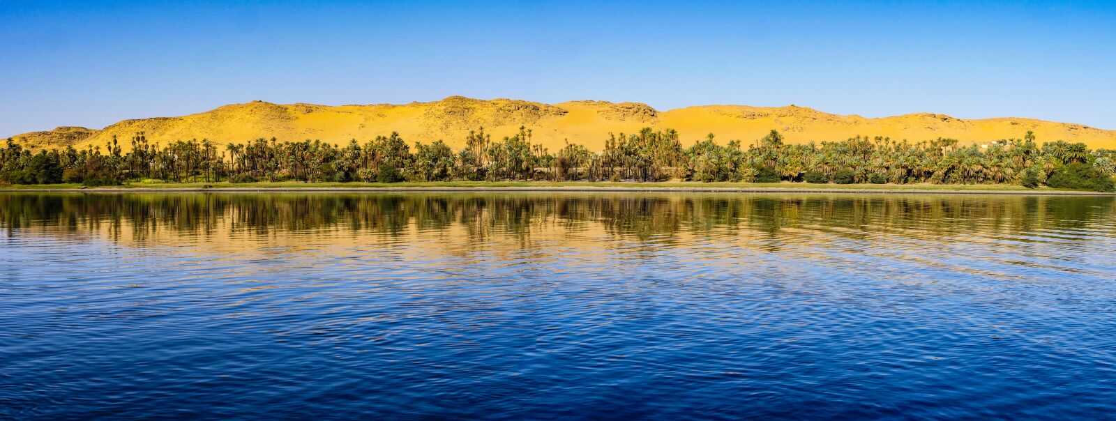 Panasonic Lumix DMC-GX8 sample photo. Desert, river, morgenstimmung photography