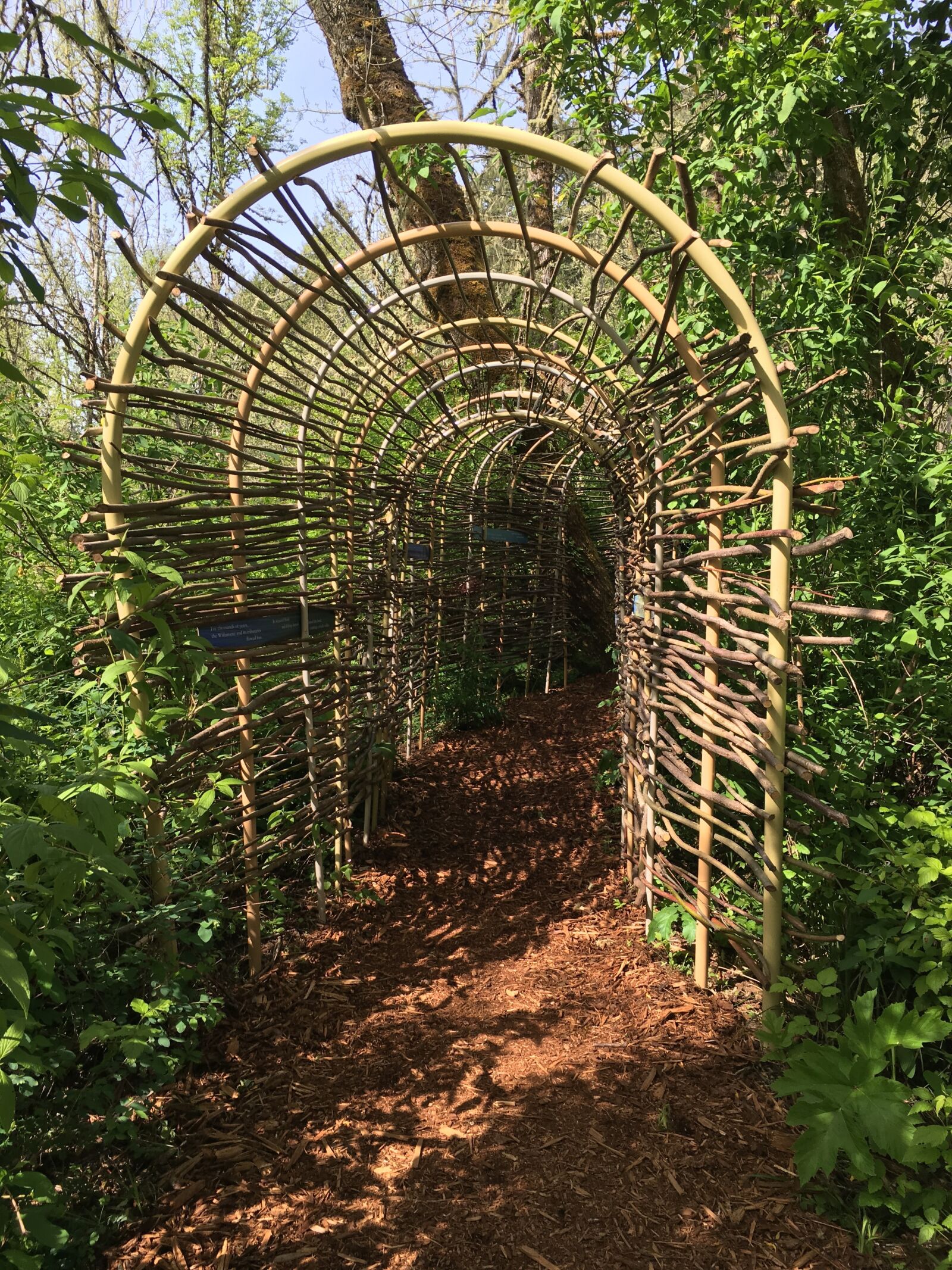 Apple iPhone 6s sample photo. Willow, wicker, arbor photography