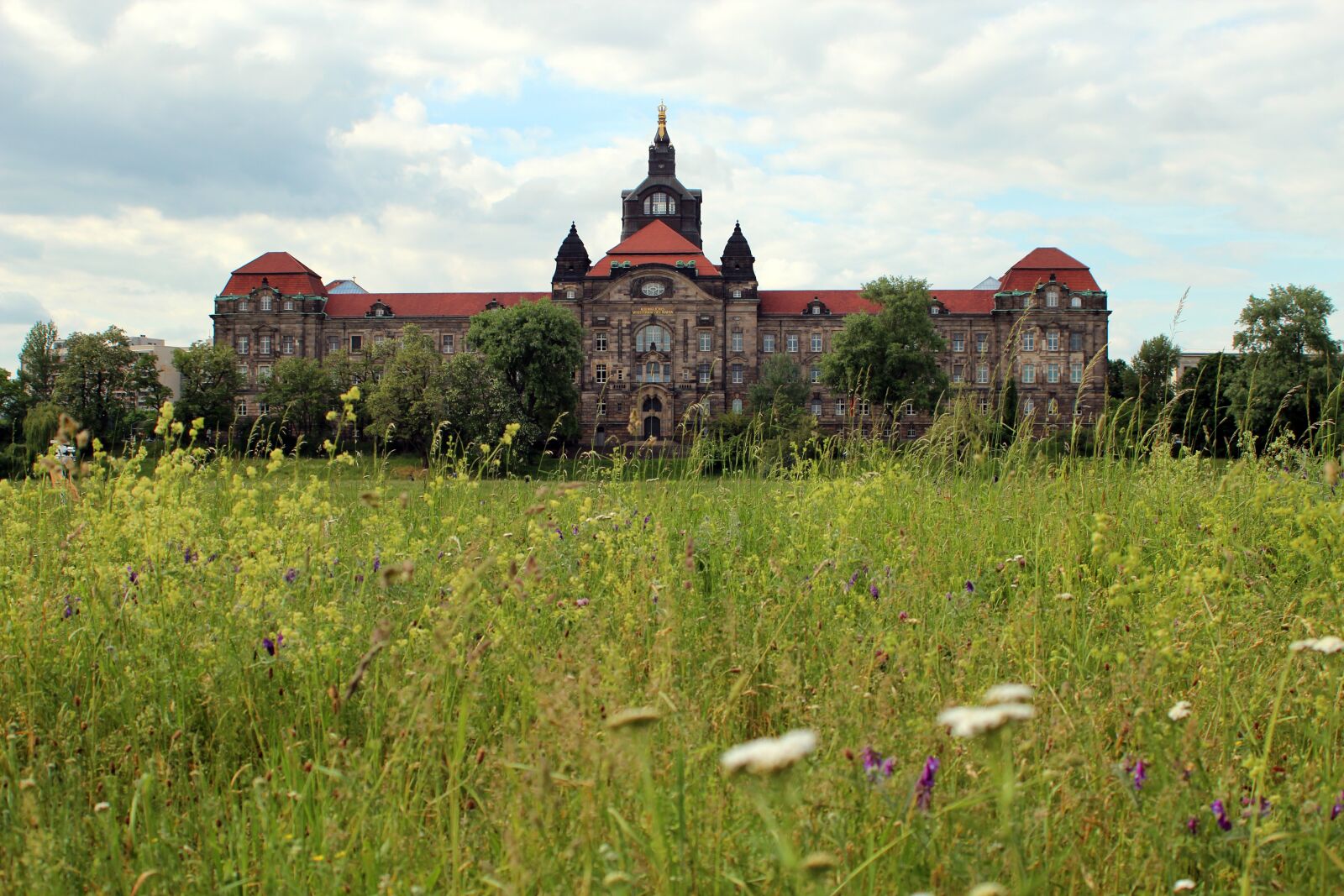 Canon EF 28-80mm f/3.5-5.6 sample photo. Meadow, green, castle photography
