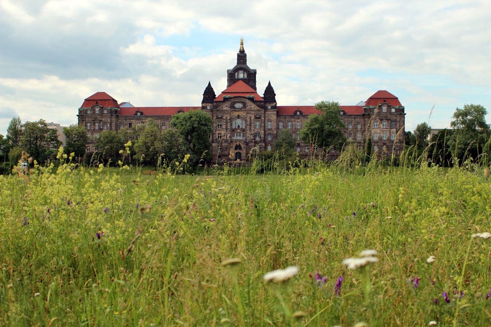 Canon EOS 600D (Rebel EOS T3i / EOS Kiss X5) + Canon EF 28-80mm f/3.5-5.6 sample photo. Meadow, green, castle photography