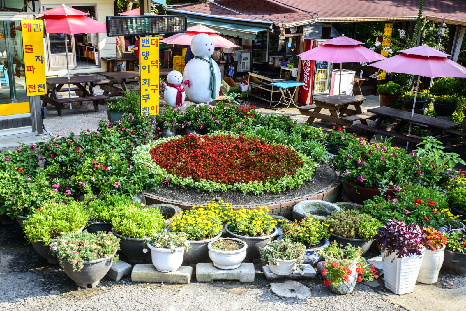 Nikon D800E sample photo. Flower garden, garden, background photography