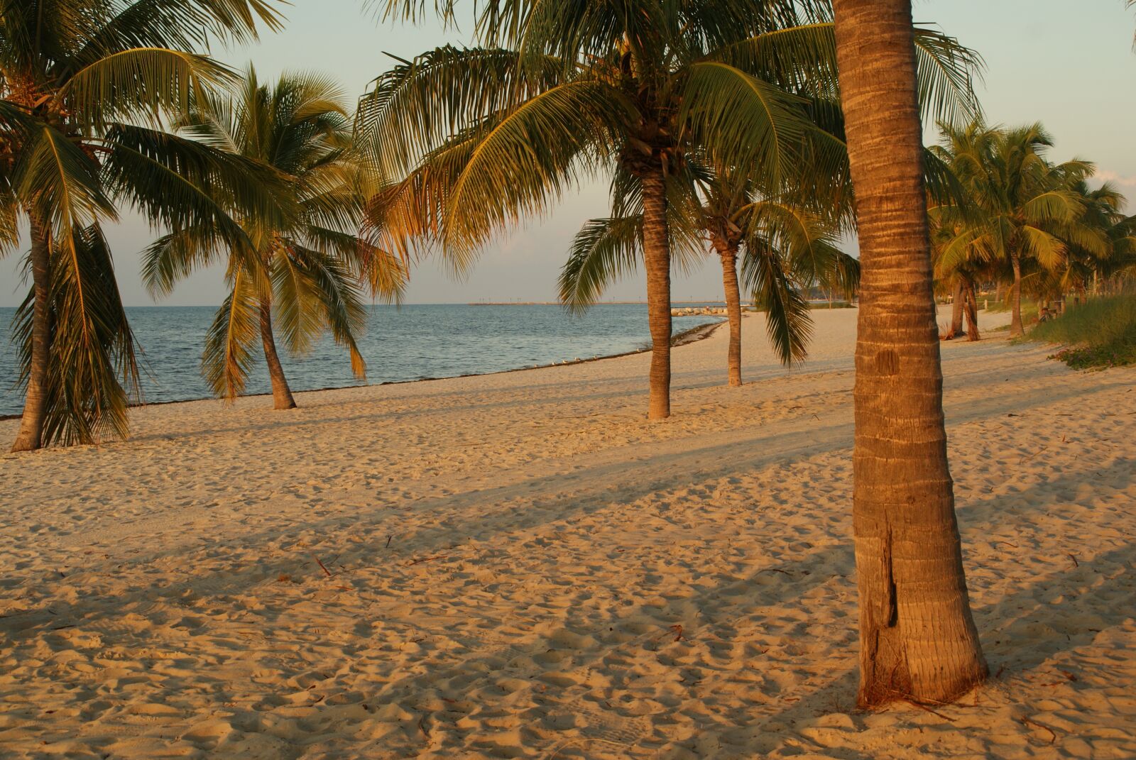 Sony Alpha DSLR-A200 sample photo. Florida, florida keys, key photography