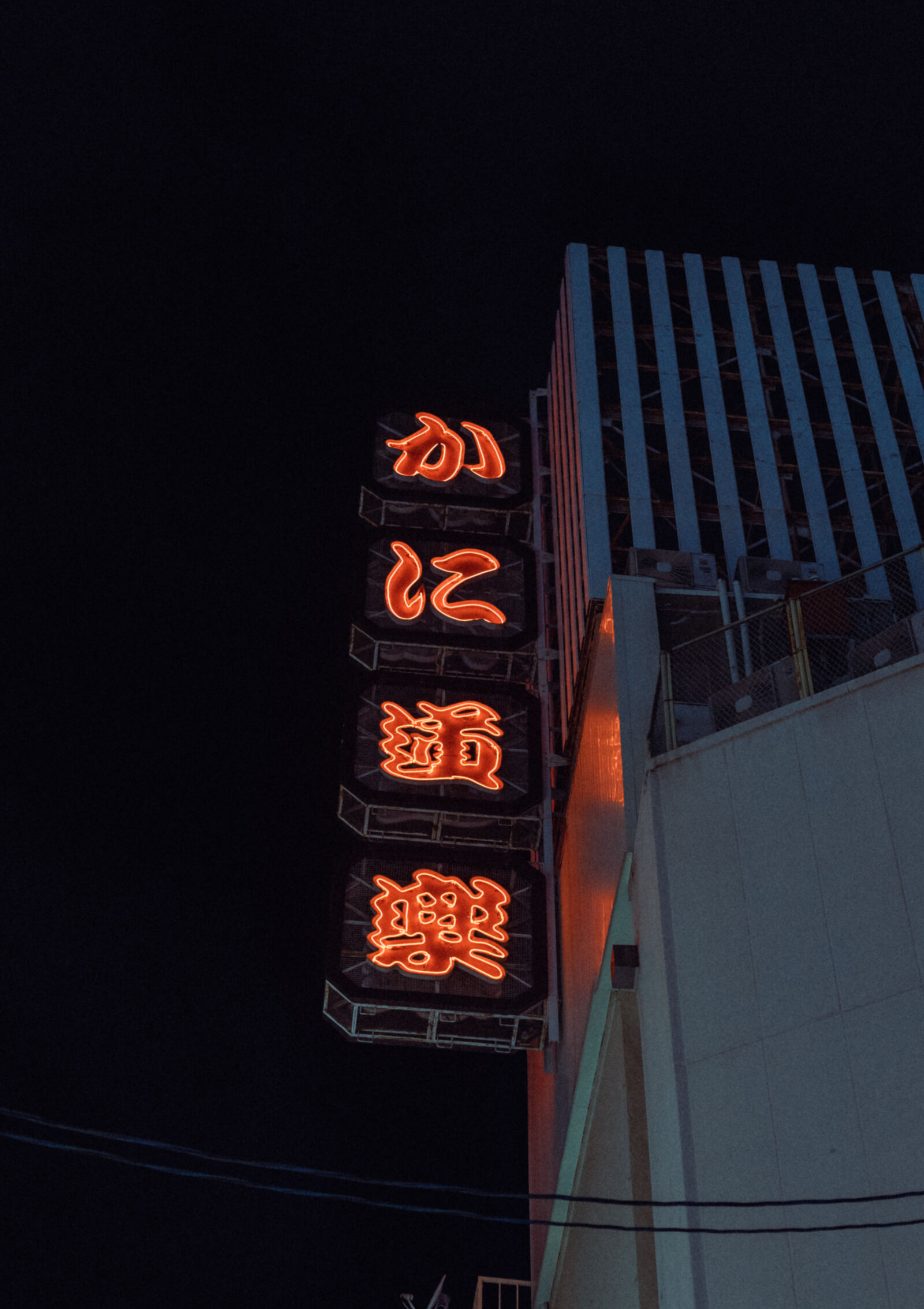Canon EF 50mm F1.8 STM sample photo
