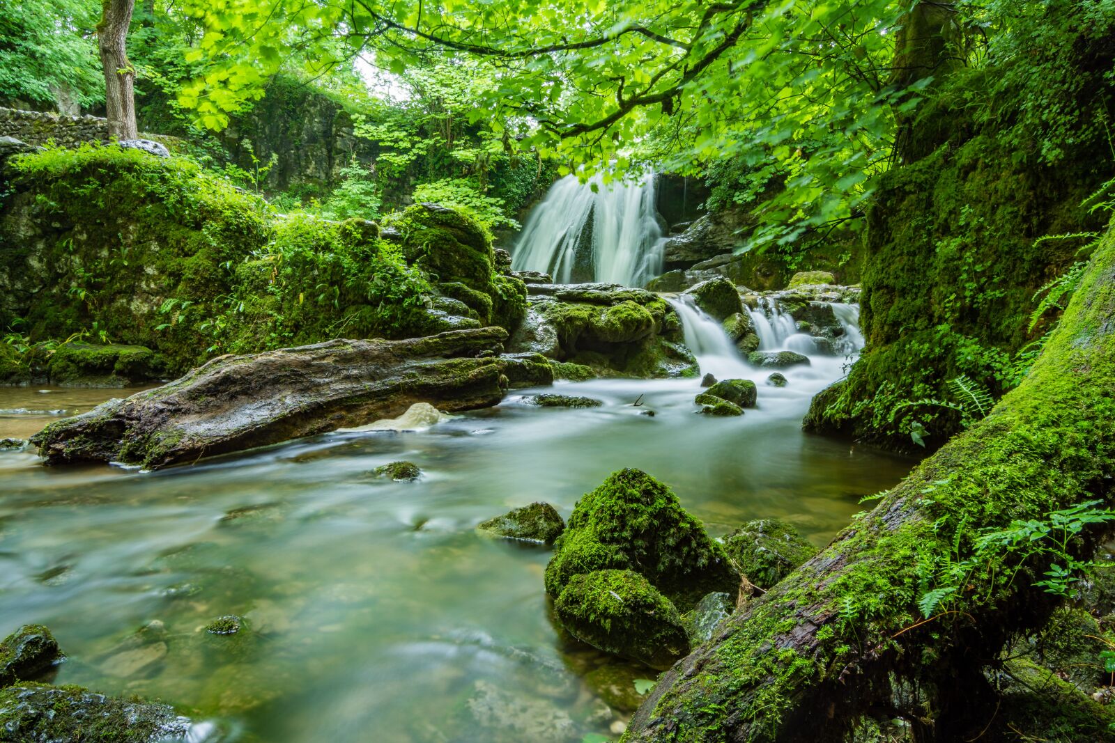 Tokina AT-X Pro 11-16mm F2.8 DX II sample photo. Janet's foss, malham, yorkshire photography