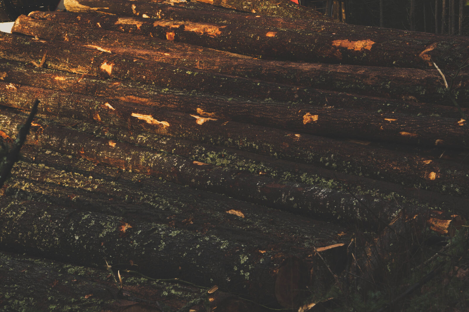 Nikon D5200 sample photo. Logs, wood, wooden, logs photography