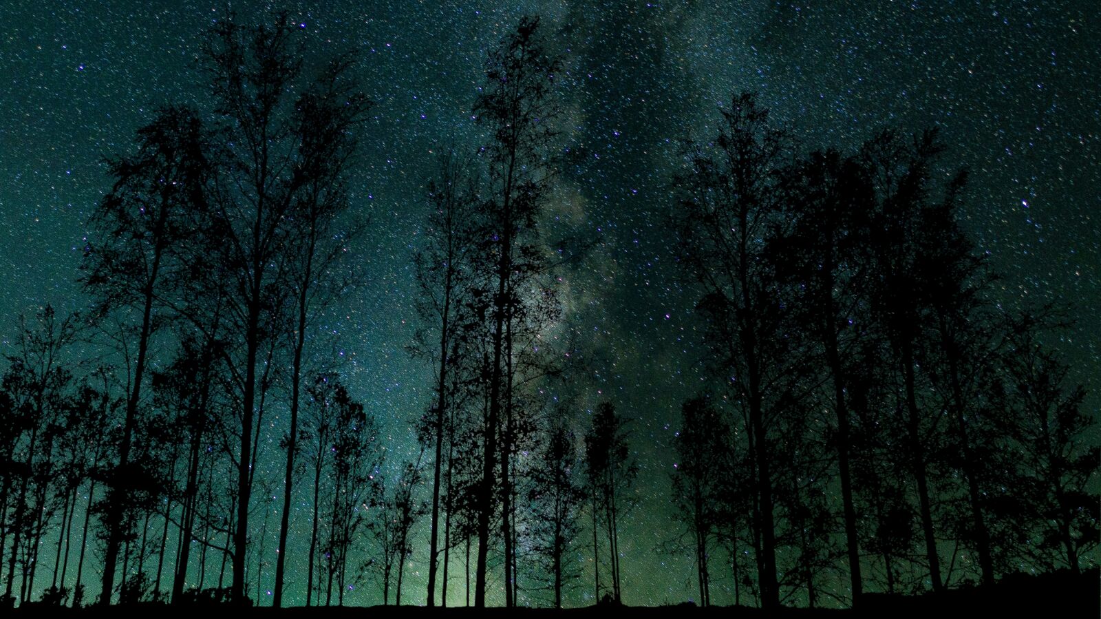 Panasonic Lumix DMC-FZ200 sample photo. Nature, forest, astronomy photography