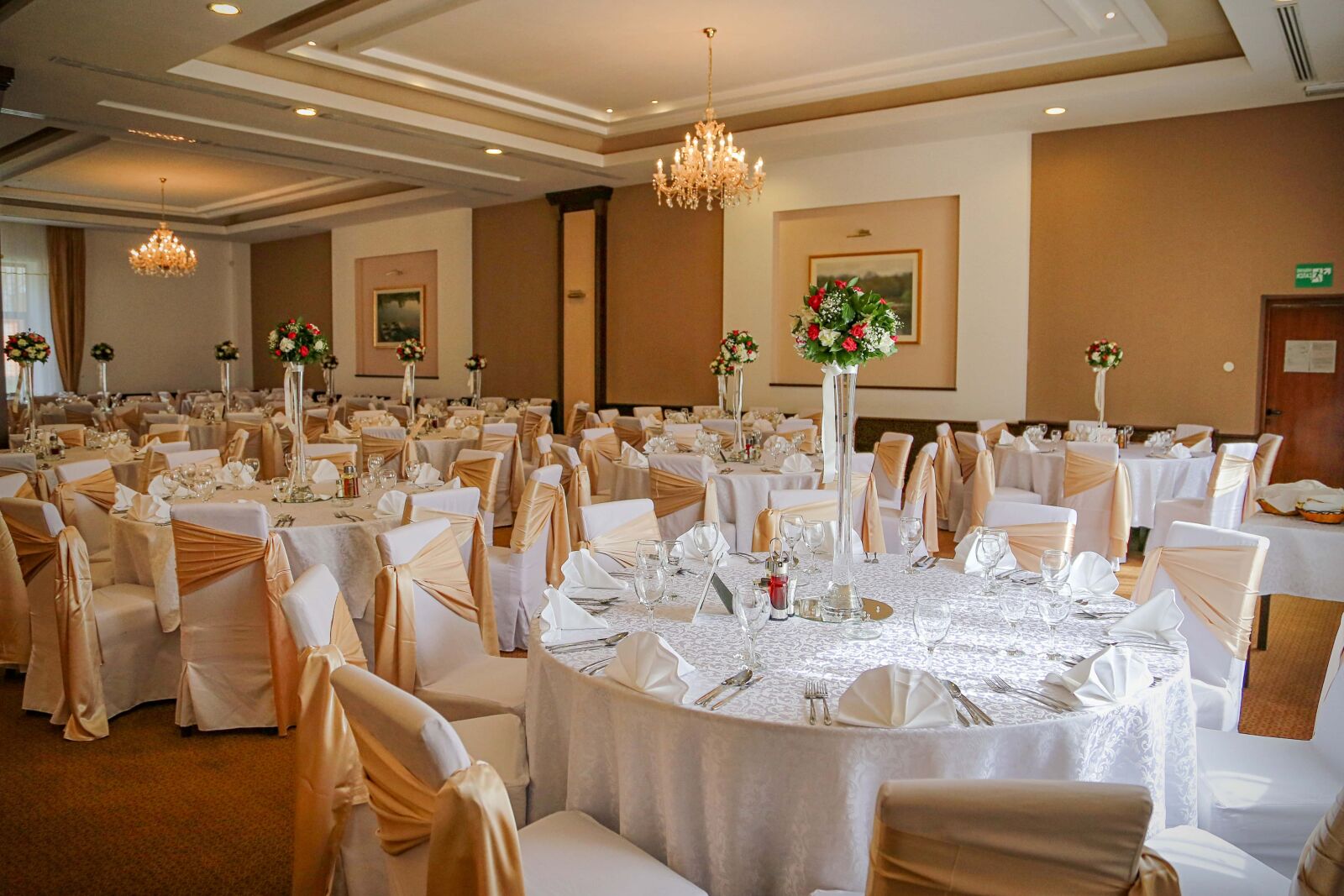 Canon EF 24-105mm F4L IS USM sample photo. Dining area, wedding, ceremony photography