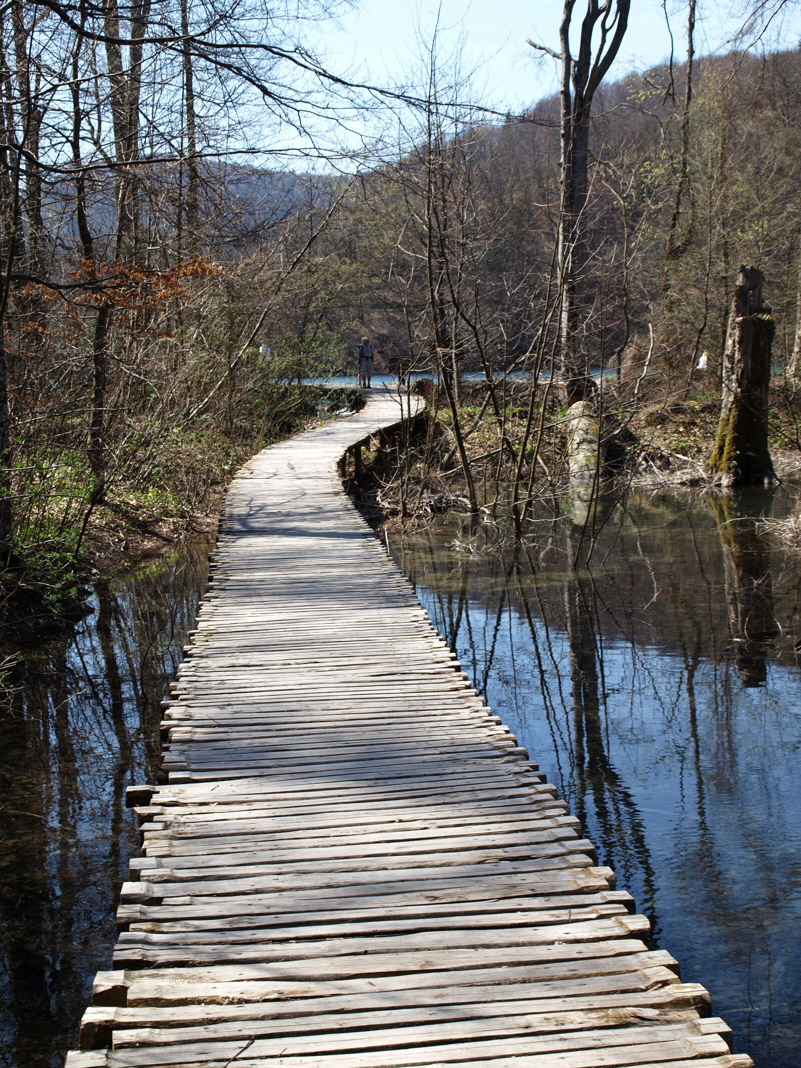 Olympus E-510 (EVOLT E-510) sample photo. Wood, nature, water photography