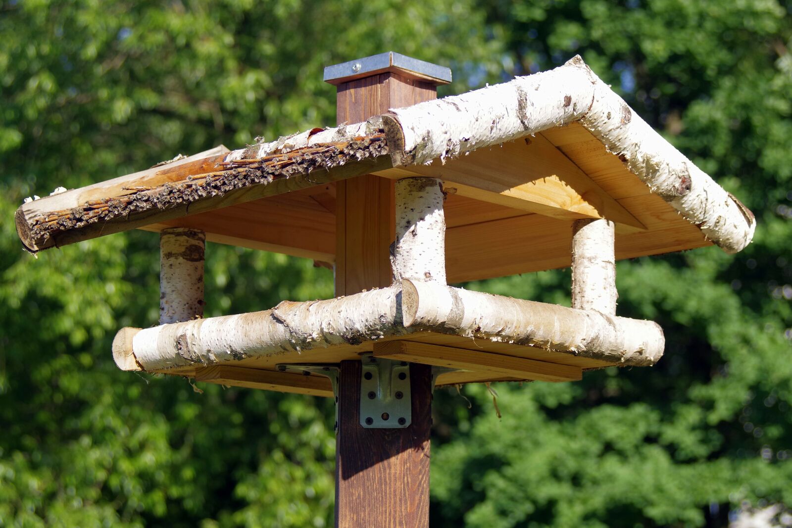Pentax K-S2 sample photo. Bird feeding tray, shed photography