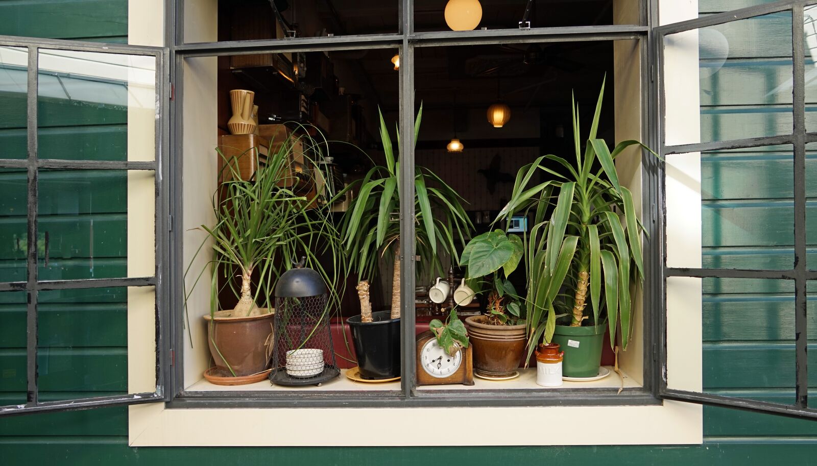Sony a7 + Sony FE 24-240mm F3.5-6.3 OSS sample photo. Window, decoration, plant photography