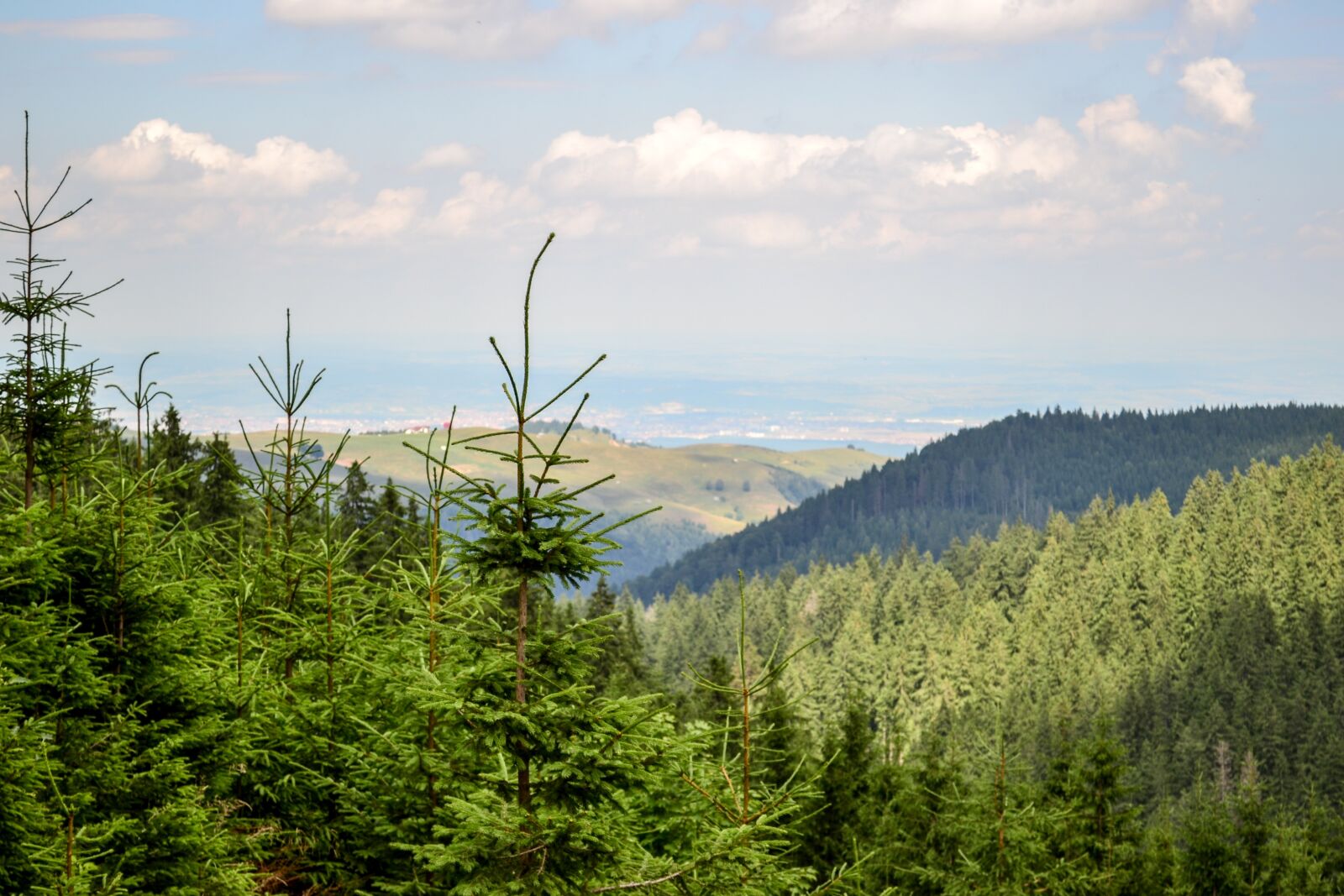 Nikon D3100 sample photo. Mountain, landscape, trees photography