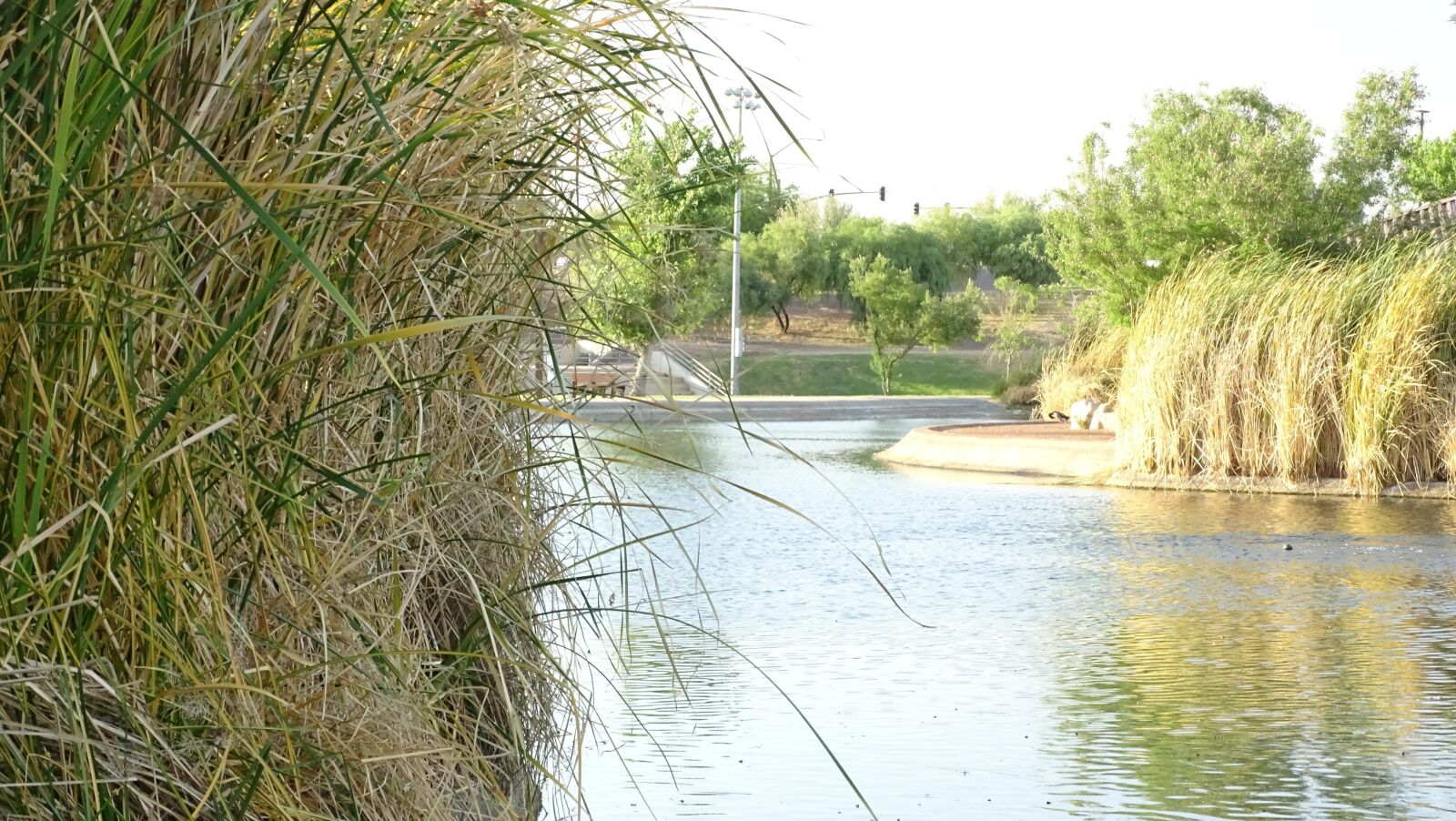Sony Cyber-shot DSC-HX400V sample photo. Pond, arizona, usa photography