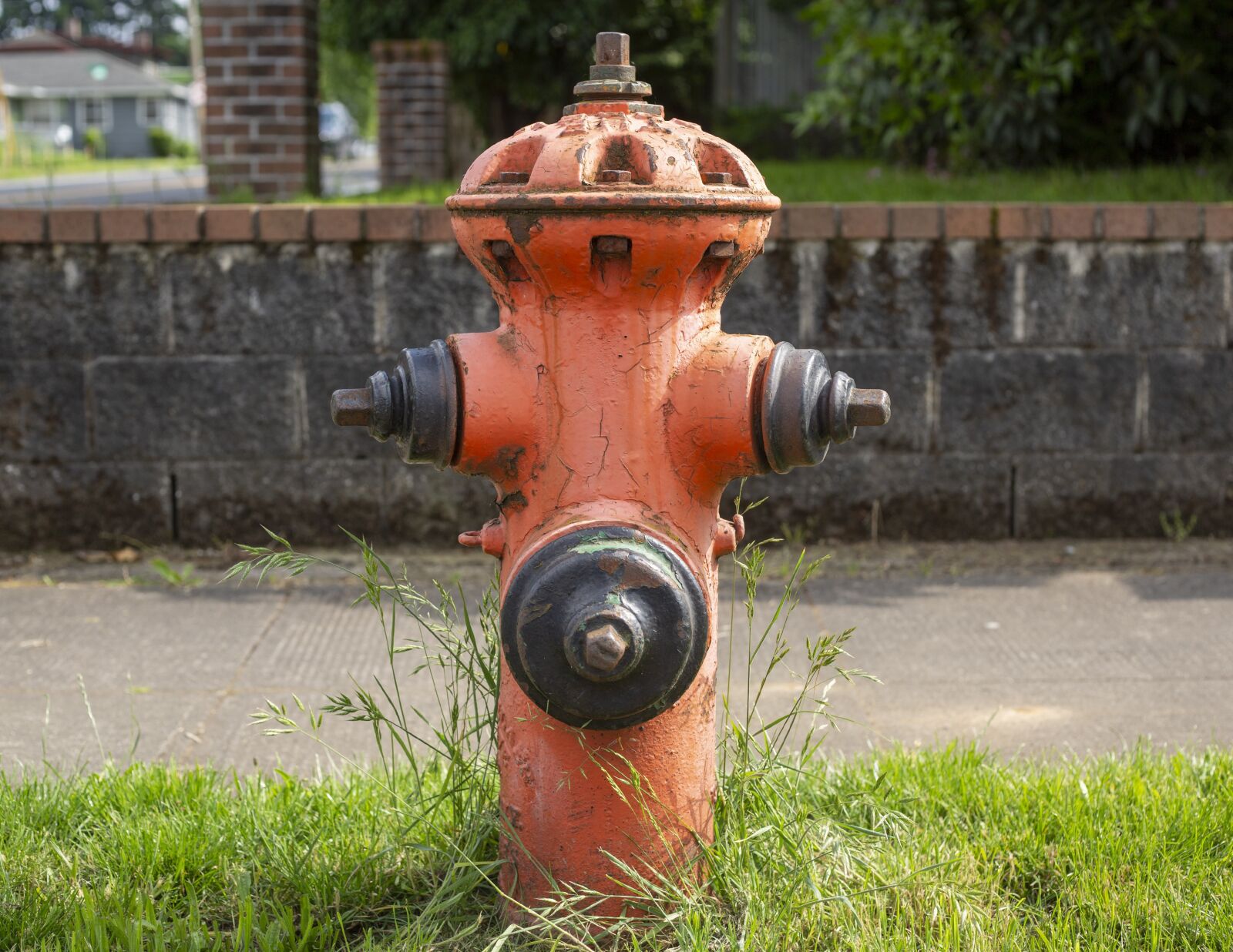 Canon EF 50mm F1.8 II sample photo. Fire hydrant, orange, water photography