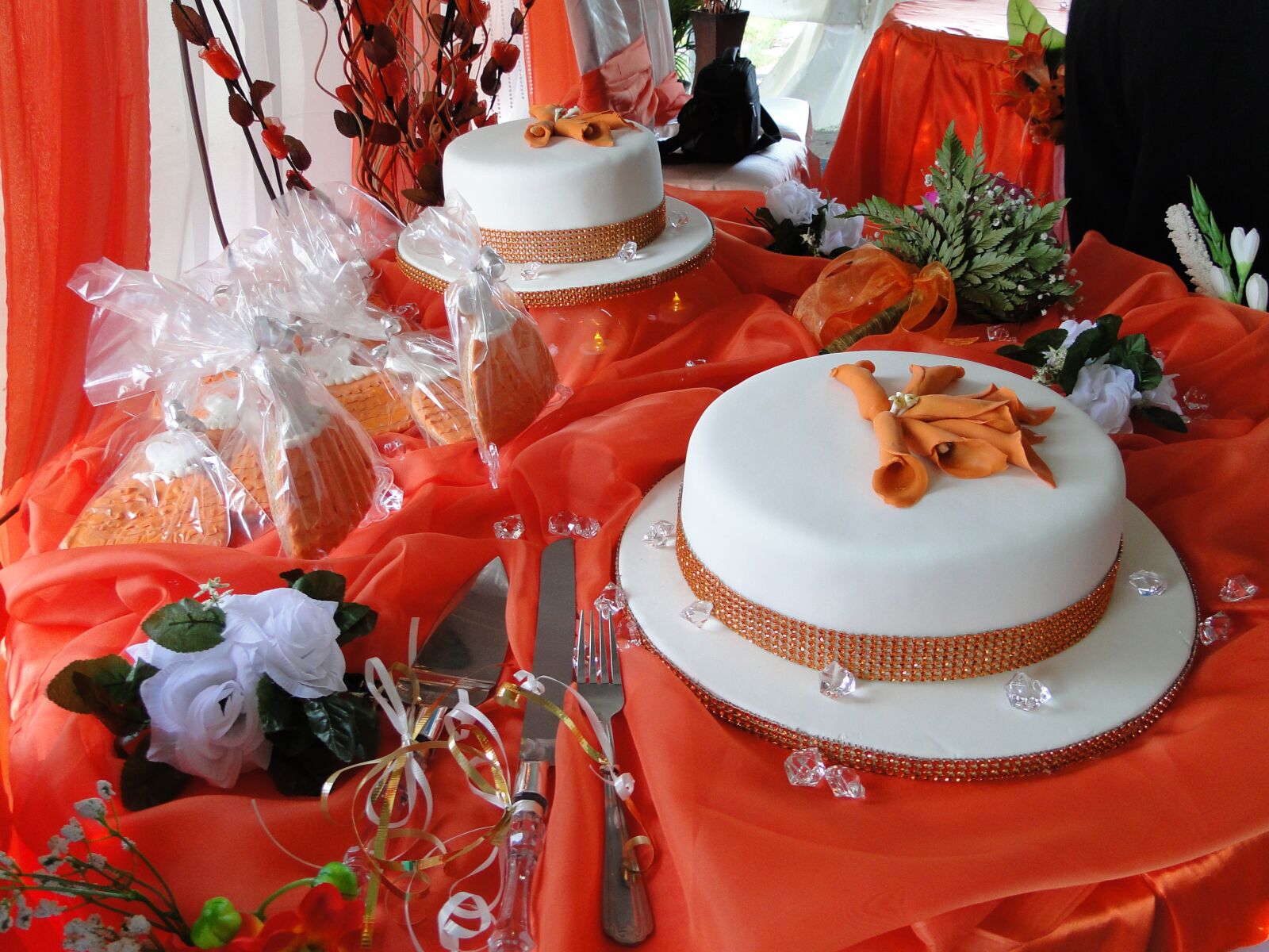 Sony Cyber-shot DSC-HX1 sample photo. Wedding cake, reception, decoration photography