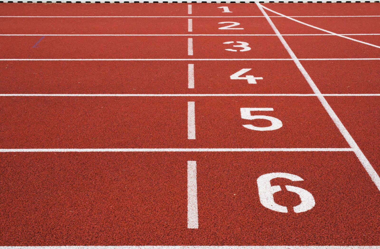 Nikon D3100 sample photo. Athletic field, ground, lane photography