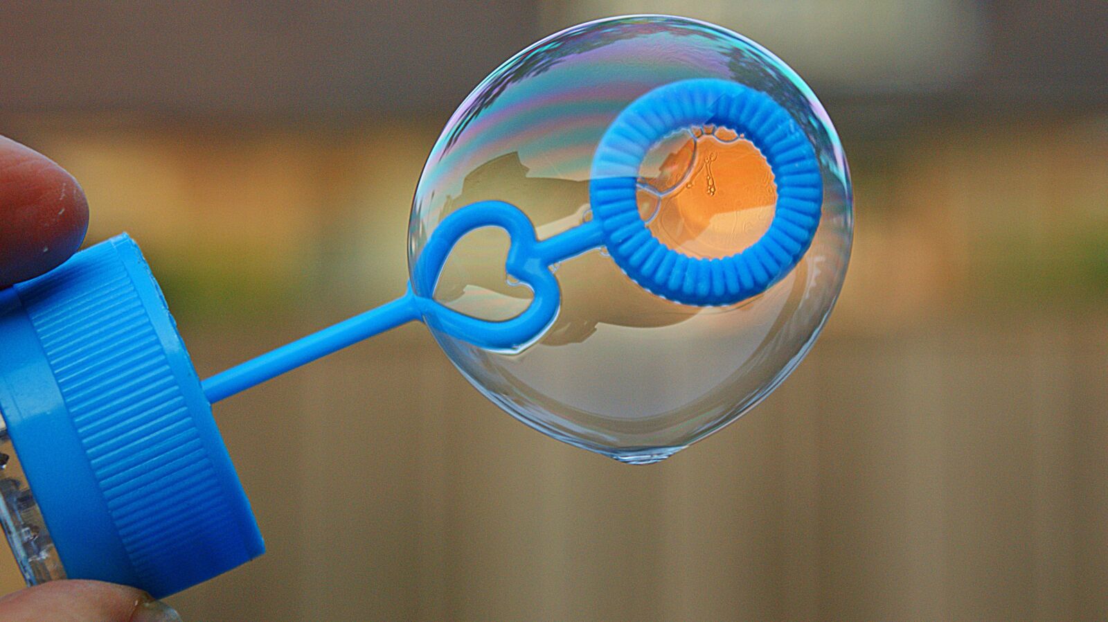 Sony Alpha DSLR-A350 sample photo. Call bladder, the heart photography