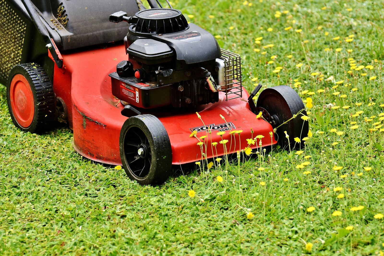 Nikon D7200 sample photo. Lawn mower, mow, lawn photography