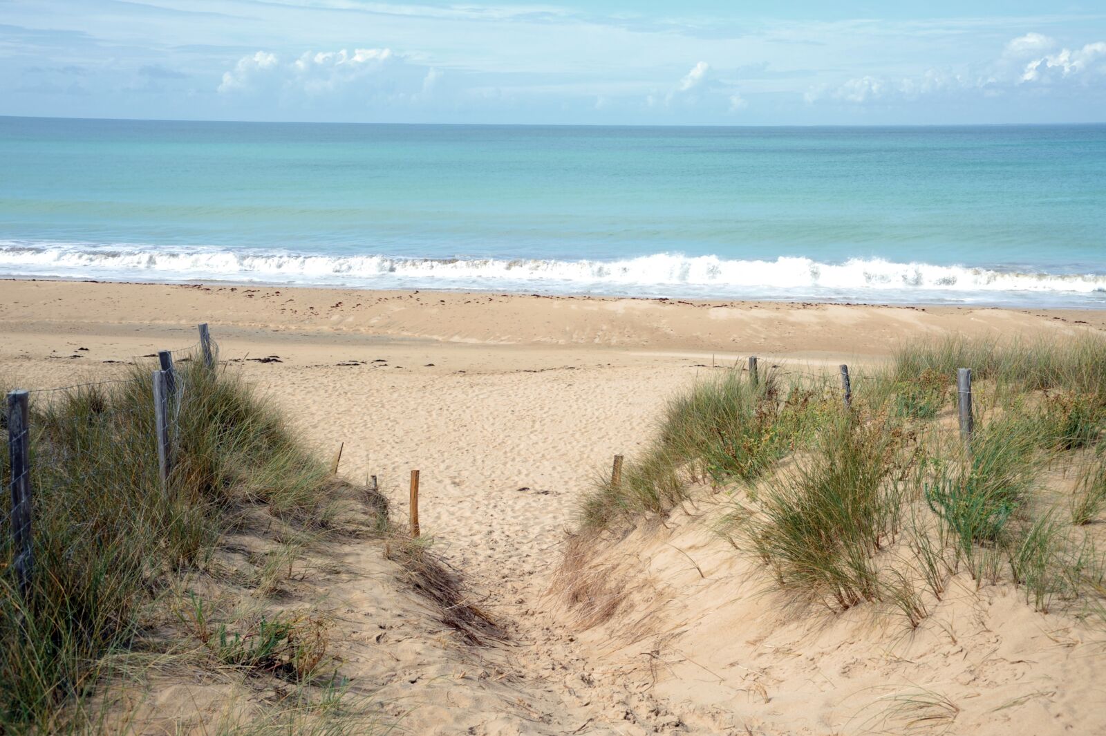Nikon D700 sample photo. Dune, sea, beach photography