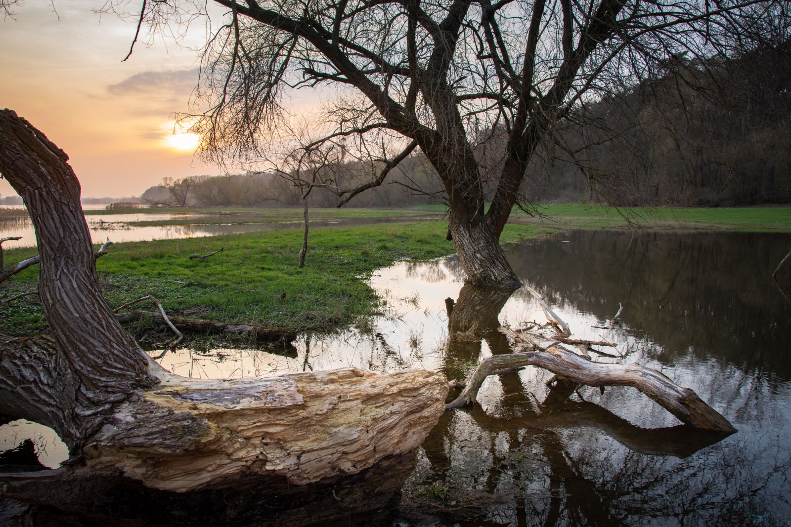 Nikon D7200 sample photo. Elbwiesen, elbaue, high water photography