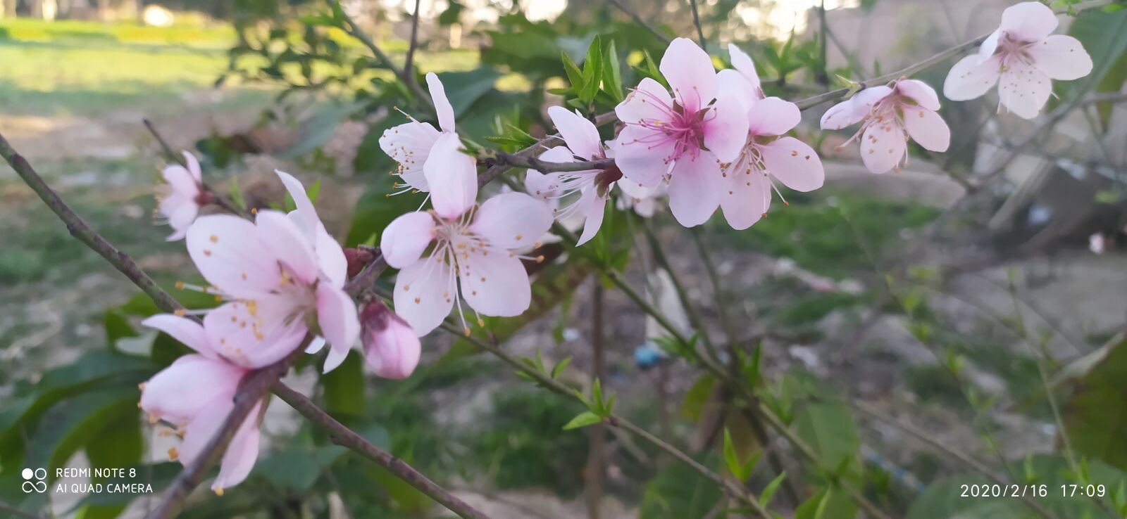 Xiaomi Redmi Note 8 sample photo. Ramadan kareem, ramadan mubarak photography