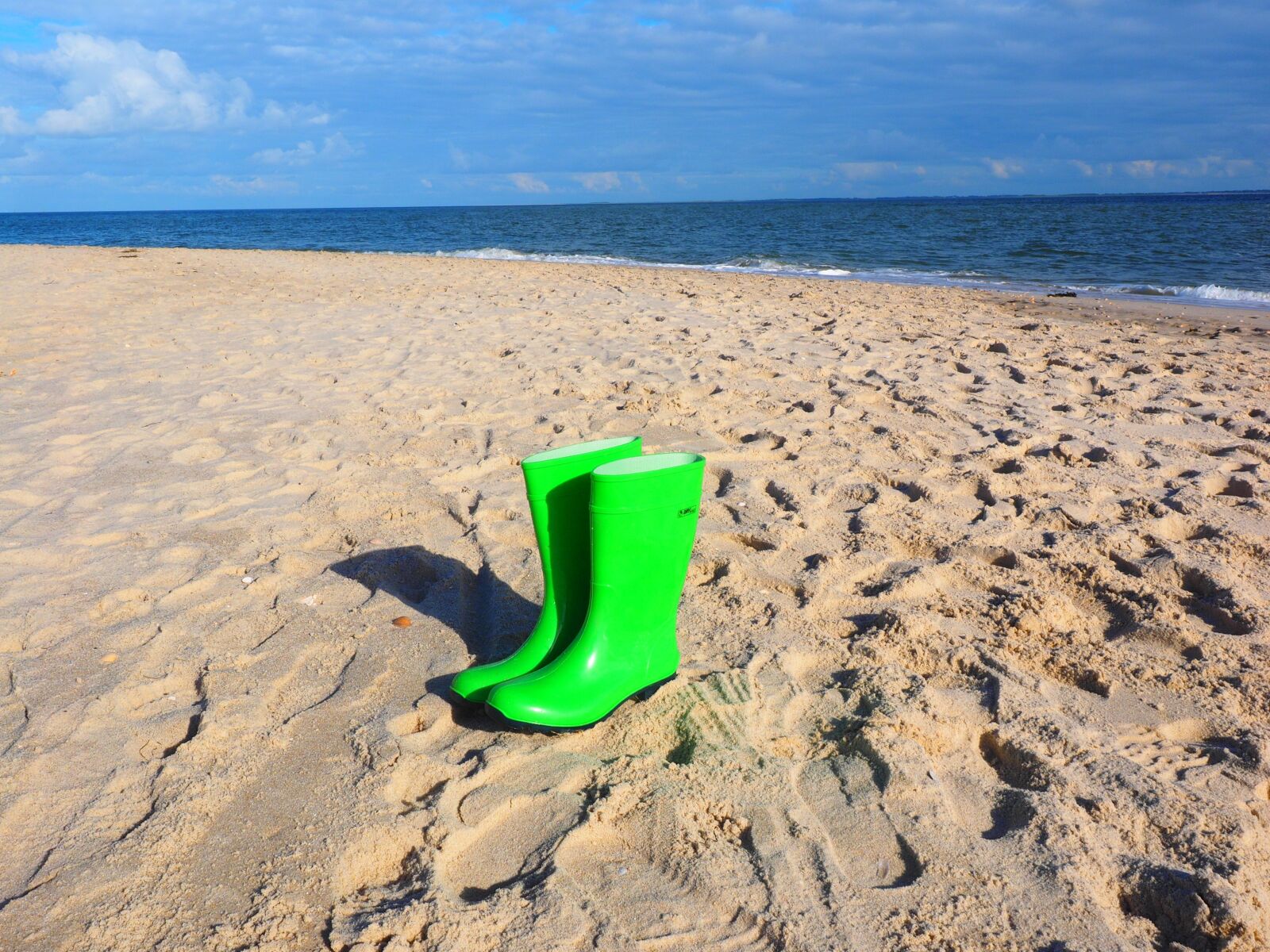 Olympus OM-D E-M1 + Olympus M.Zuiko Digital ED 12-40mm F2.8 Pro sample photo. Rubber boots, boots, green photography