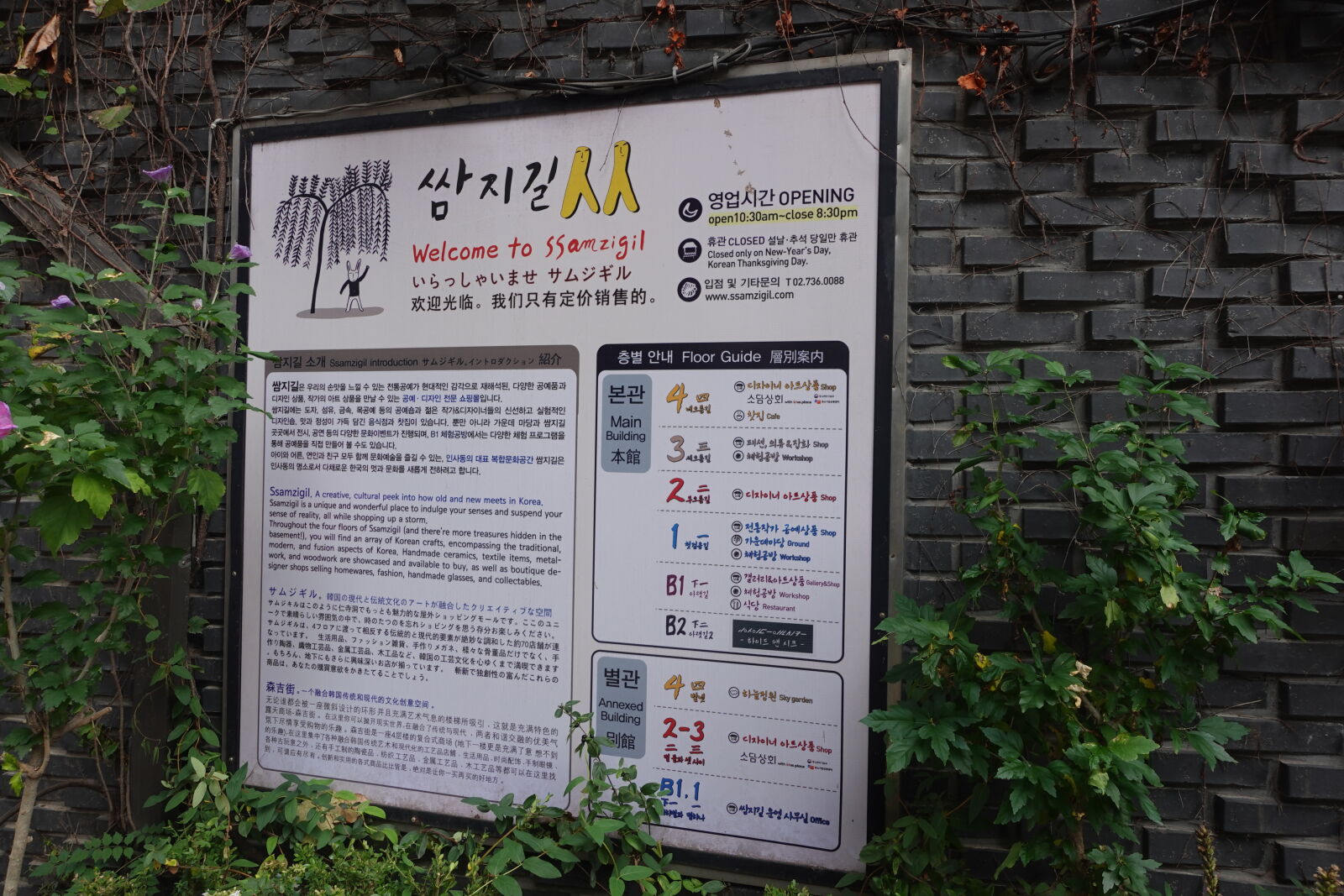 Sony ZV-1 sample photo