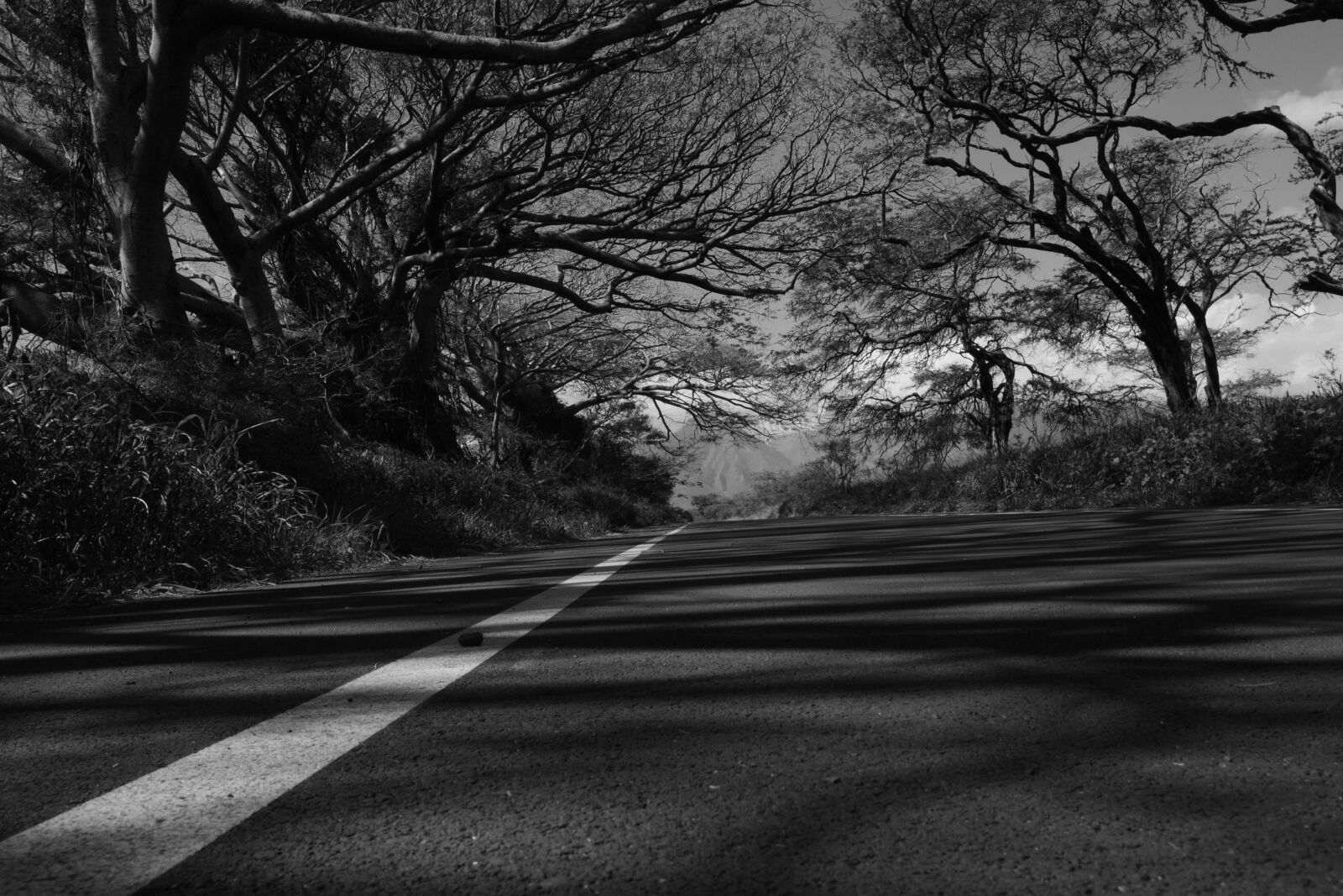Canon EOS 30D sample photo. Road, b w, country photography