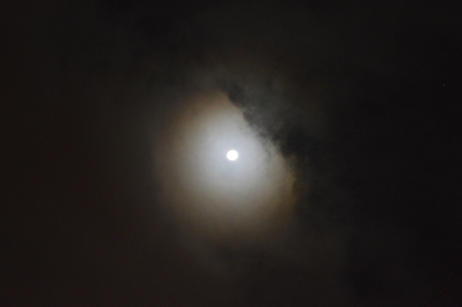 Nikon D3200 sample photo. Luna photography