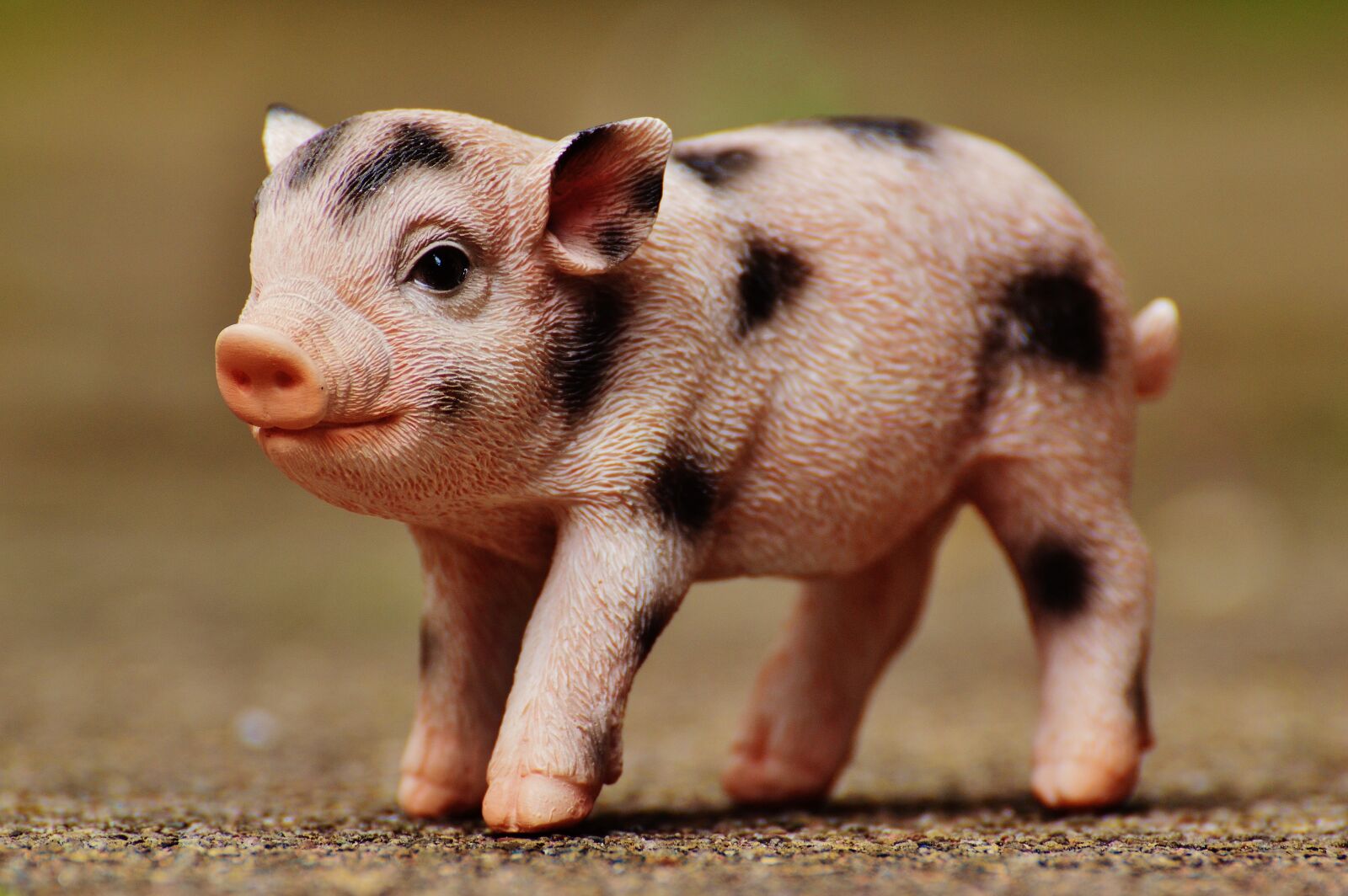 Nikon D3200 sample photo. Piglet, figure, cute photography