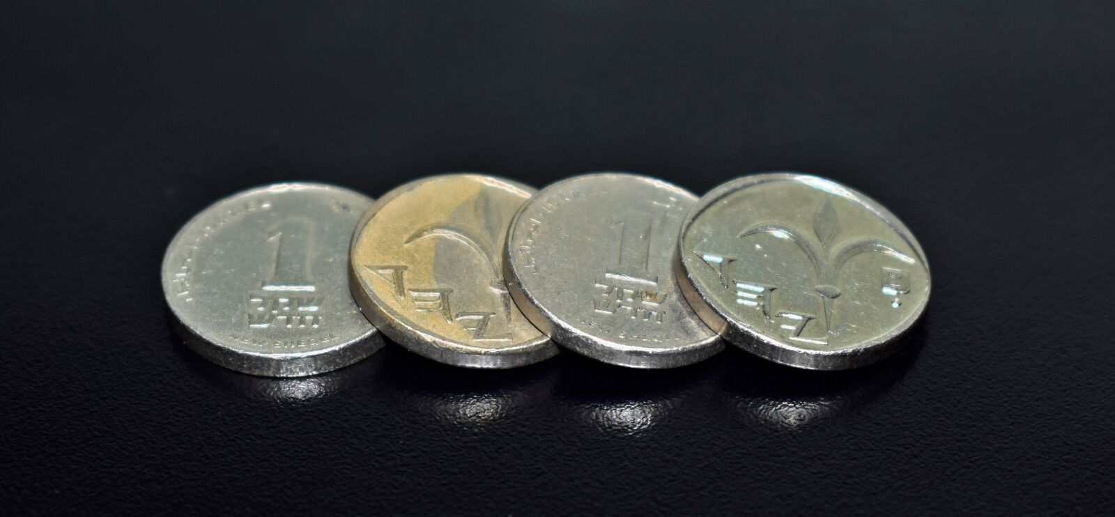 Nikon D5300 sample photo. Shekel, new shekel, currency photography