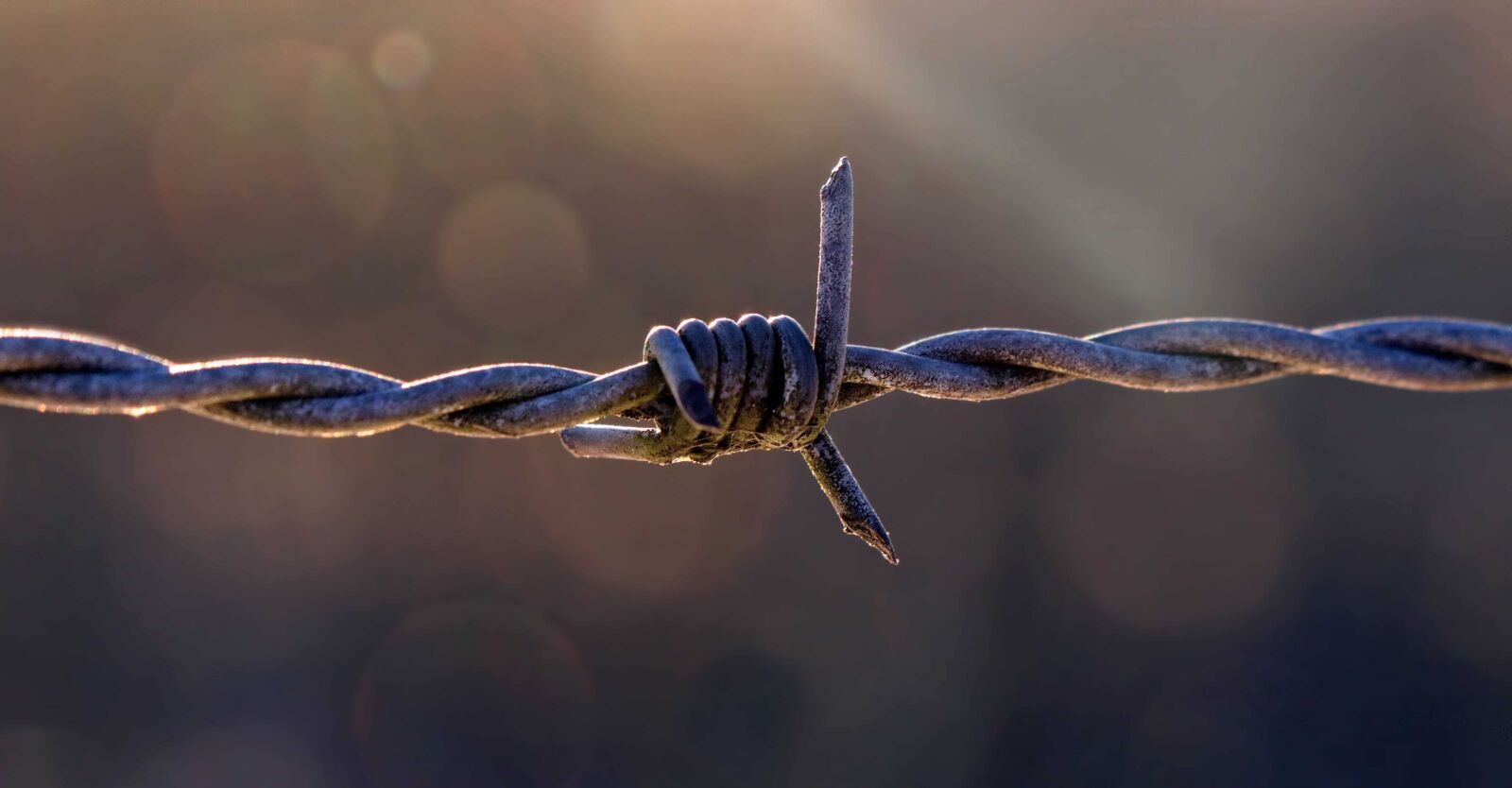 Canon EOS 80D sample photo. Barbed wire, metal, steel photography