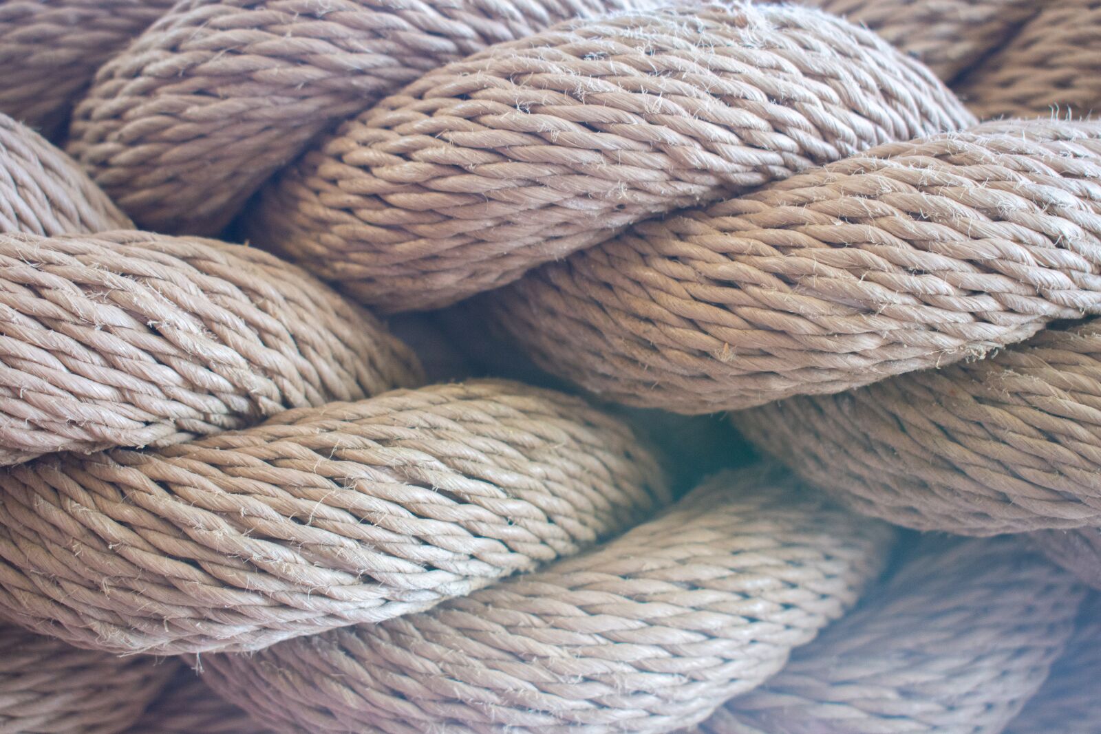 Nikon D7200 sample photo. Rope, yarn, texture photography