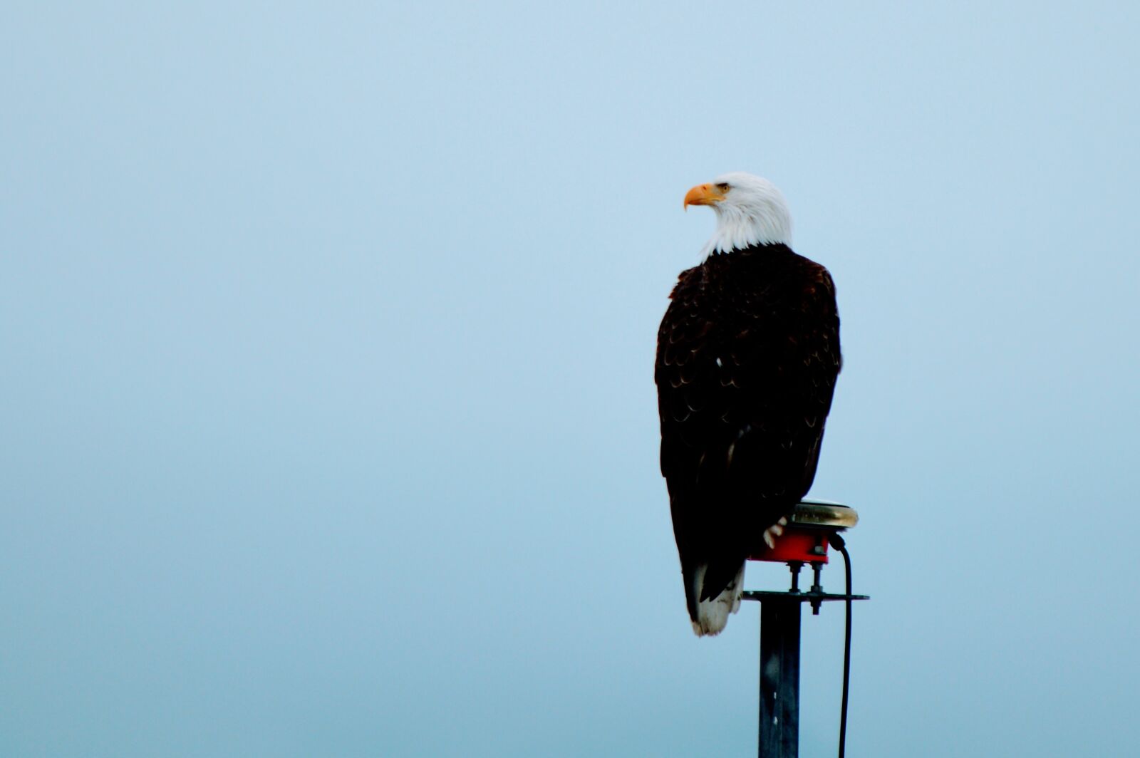 Nikon D3200 sample photo. Seward, cruise, alaska photography