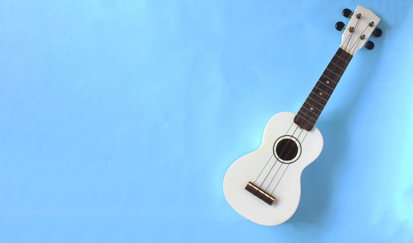 Canon EOS 550D (EOS Rebel T2i / EOS Kiss X4) sample photo. Concept, acoustic, background photography