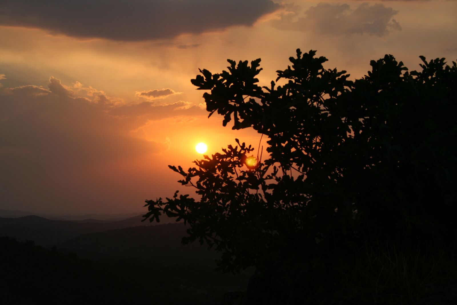 Canon EOS 350D (EOS Digital Rebel XT / EOS Kiss Digital N) sample photo. Sun, nature, sunset photography