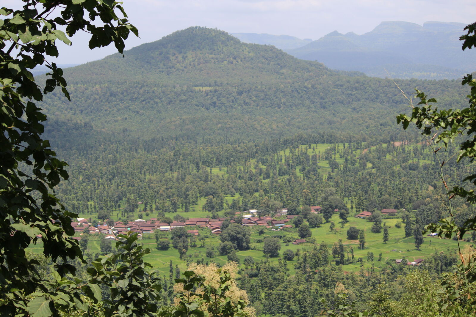 Canon EF-S 55-250mm F4-5.6 IS II sample photo