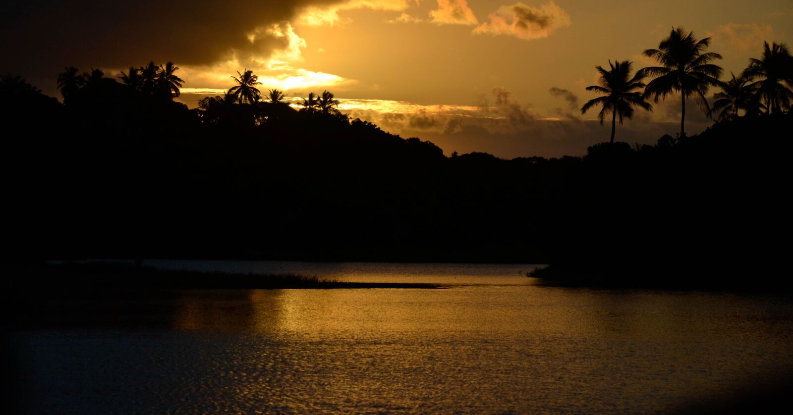 Nikon D3100 sample photo. Best place, leisure, field photography