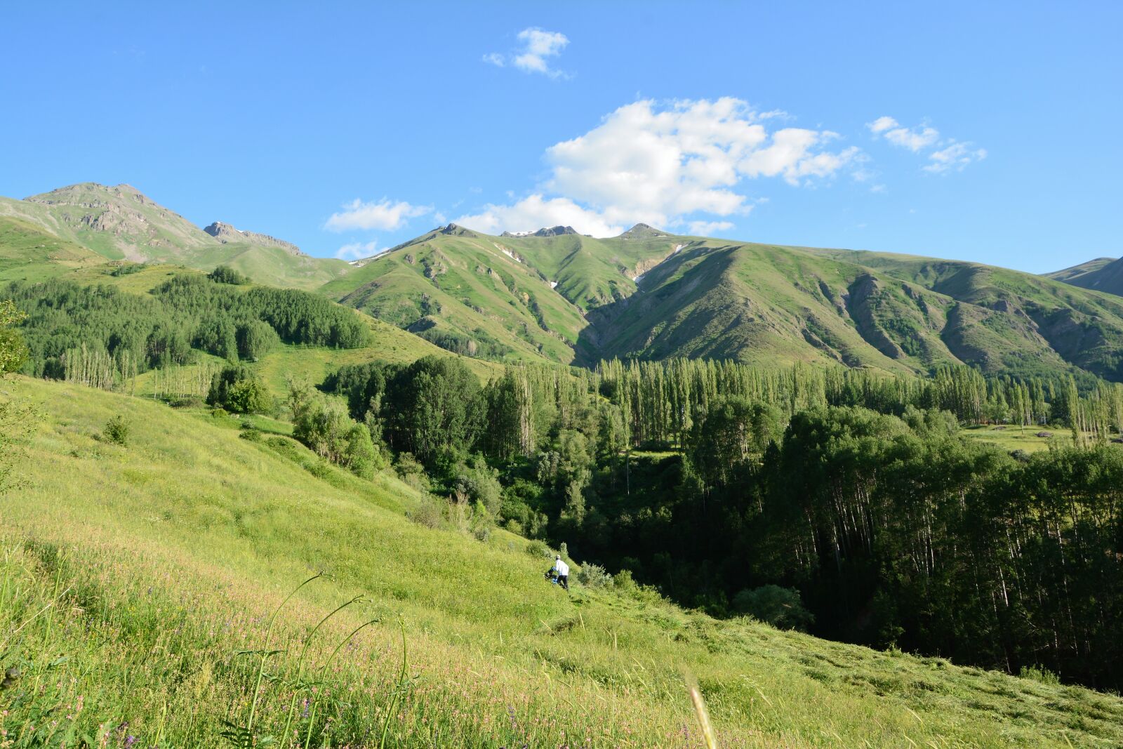 Nikon D7100 sample photo. Kaçkars, landscape, green photography
