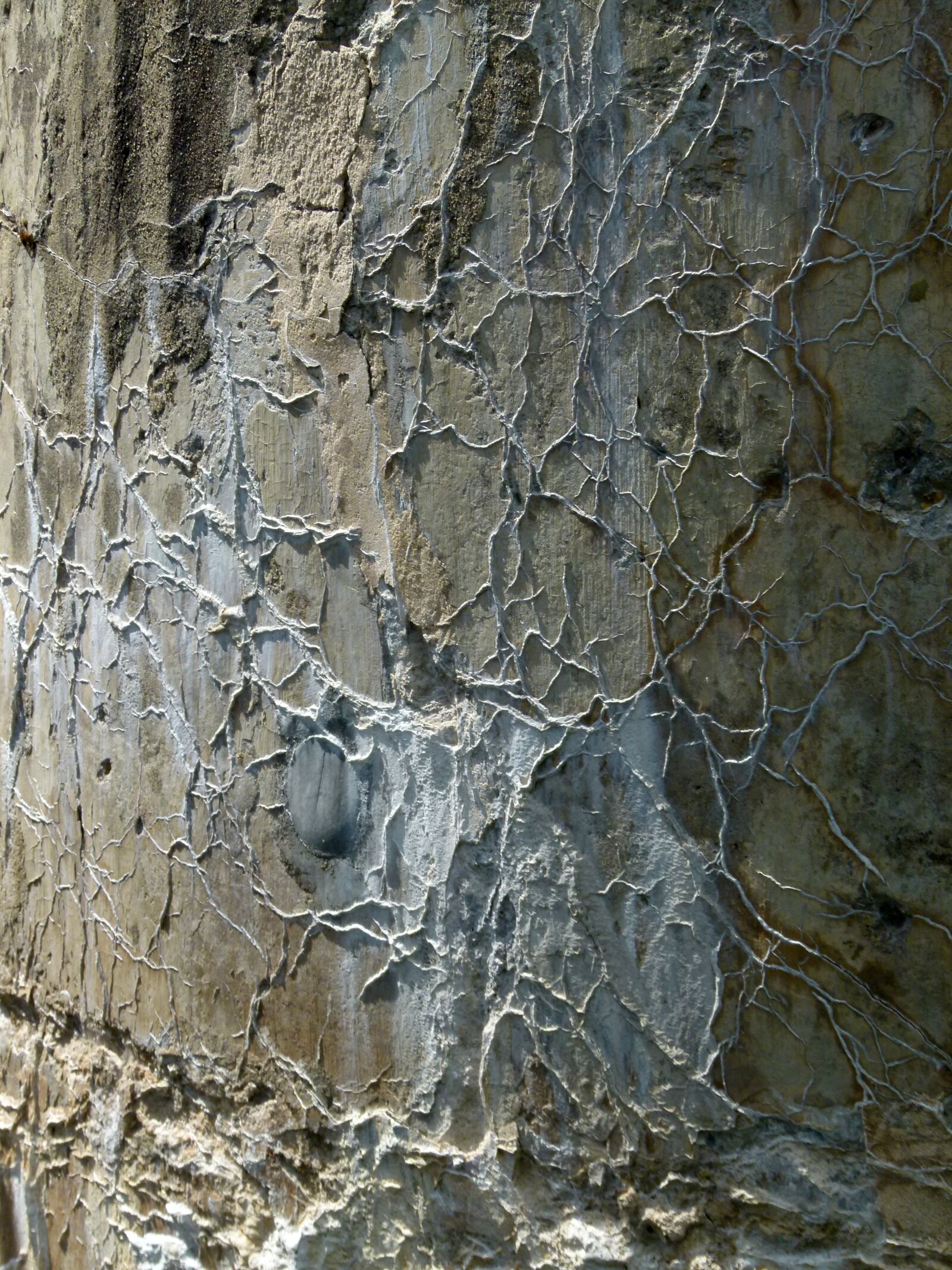 Panasonic Lumix DMC-FZ100 sample photo. Cement, leaching, minerals photography
