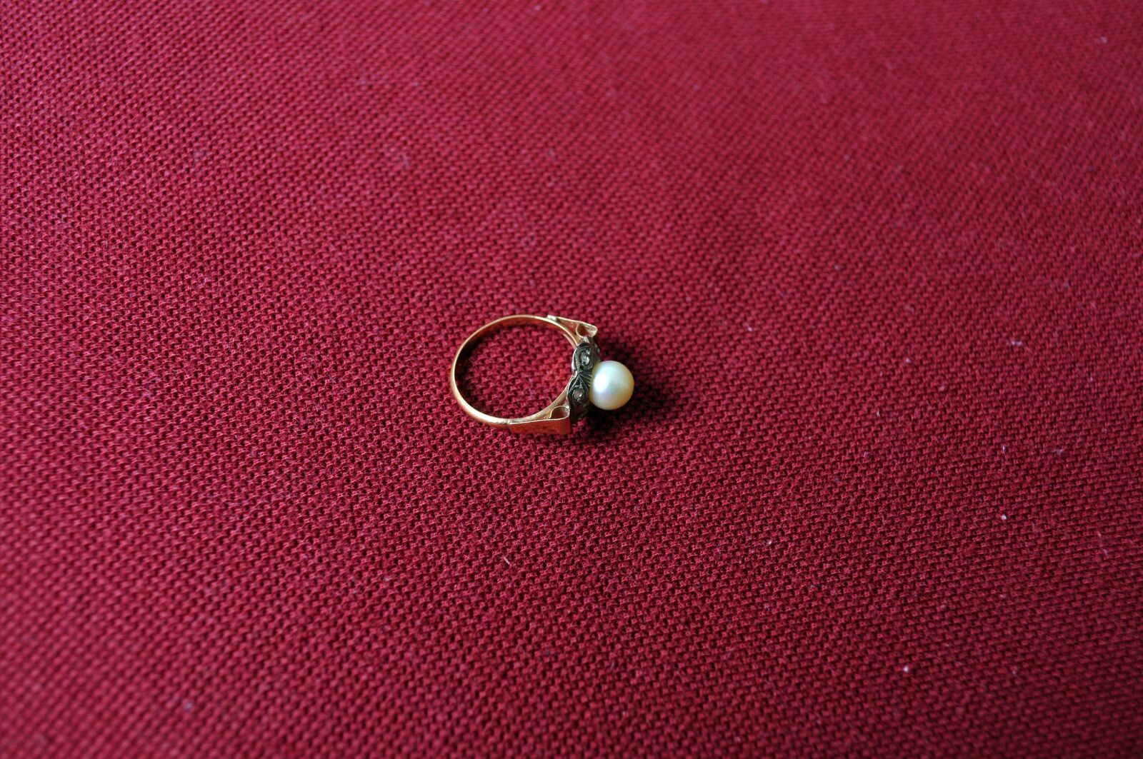 Nikon D5000 sample photo. Ring, jewelry, red, canvas photography