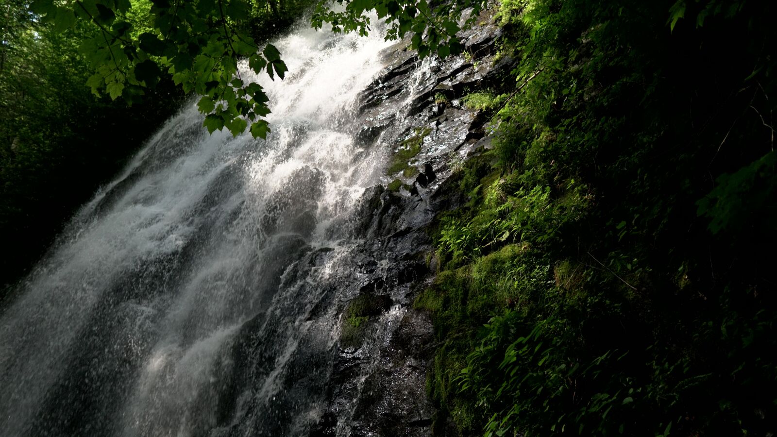 Sony a6500 sample photo. Nature, waterfall, cascade photography