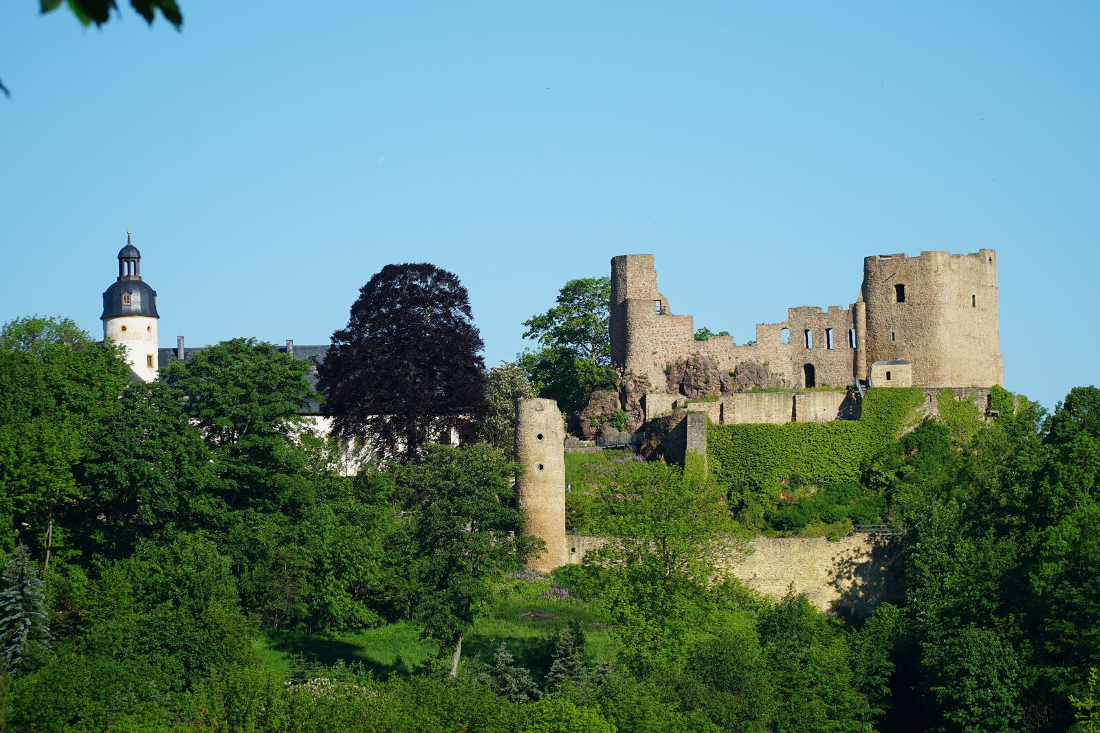 Sony a6300 + Sony E PZ 18-105mm F4 G OSS sample photo. Mrs stone, burgruine, castle photography